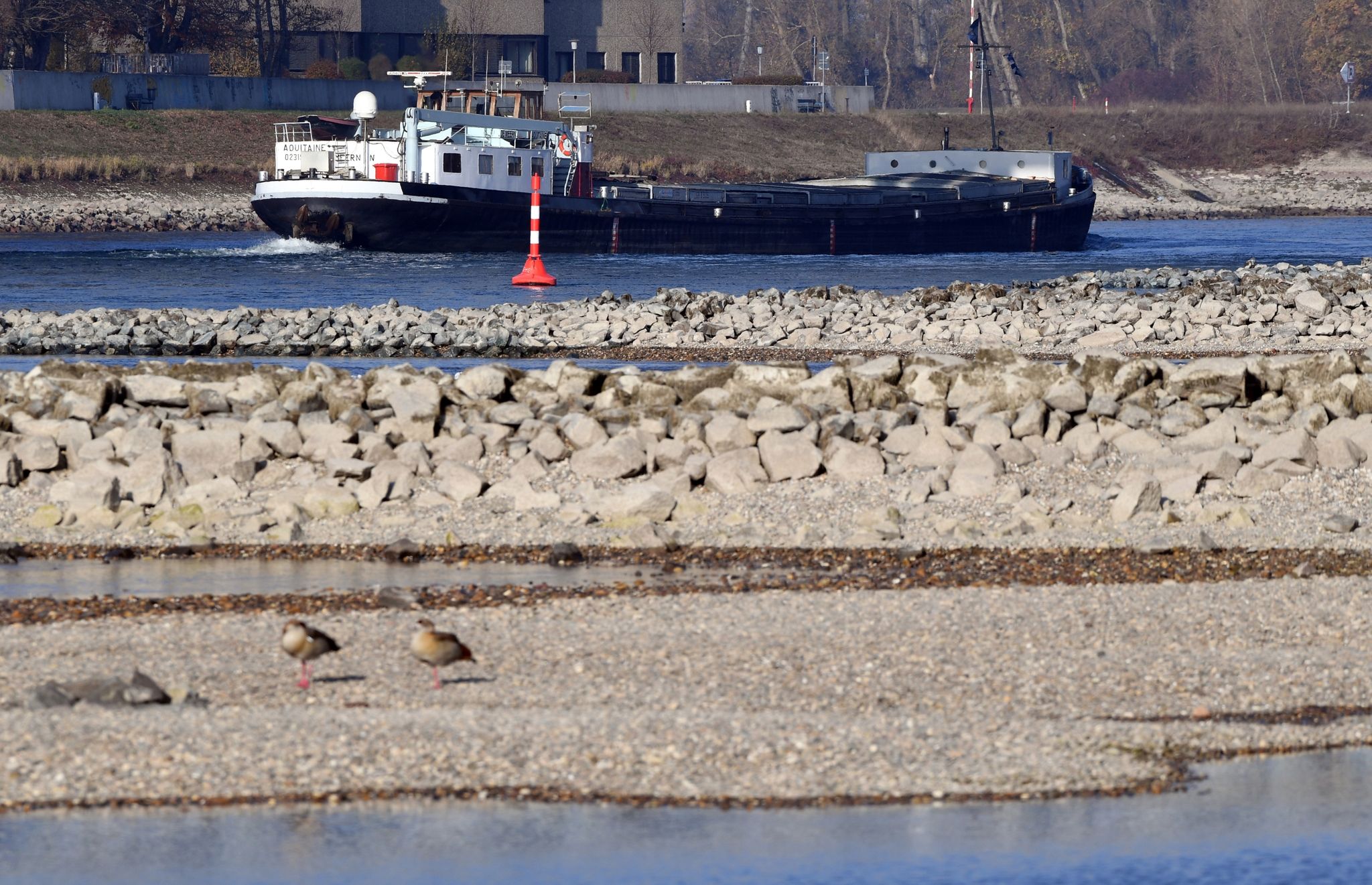 Niedrigwasser im Rhein: Schiffe können nur die Hälfte laden