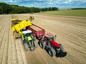 Top-Kartoffelernte – aber die Verbraucher profitieren kaum