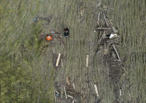 Dürre und Starkregen: Besserer Schutz für Landwirte?