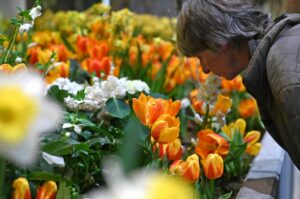 350.000 Besucher auf der Grünen Woche – Messechef zufrieden