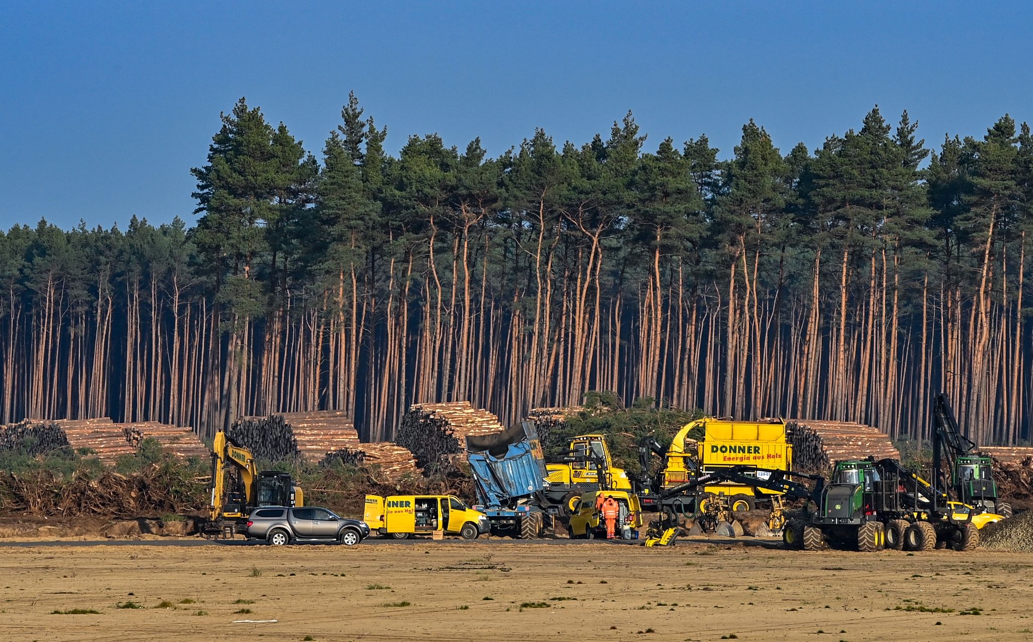 Gericht erlaubt weitere Waldrodung auf Tesla-Baustelle
