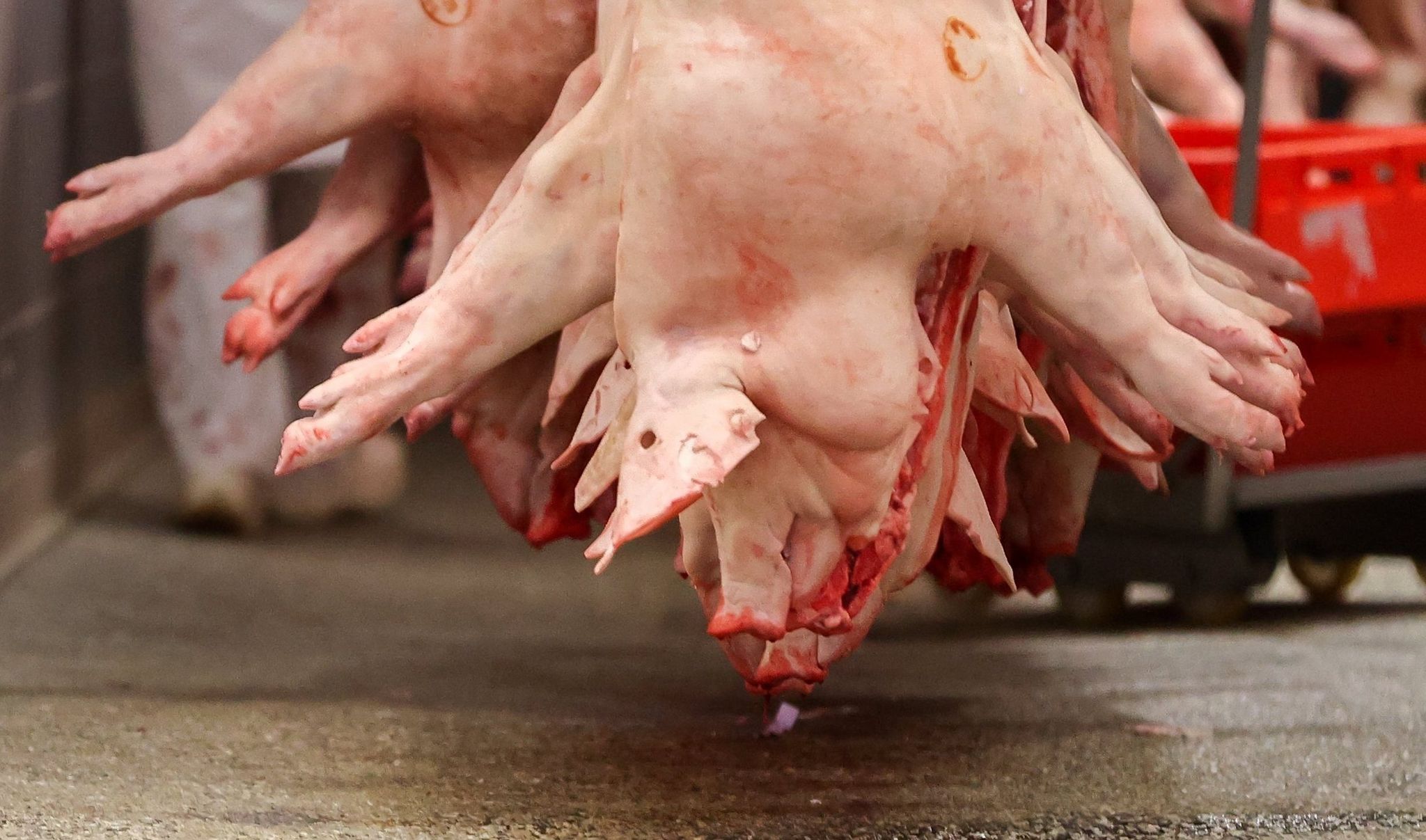 Bauernproteste: Handel geht auf Landwirte zu