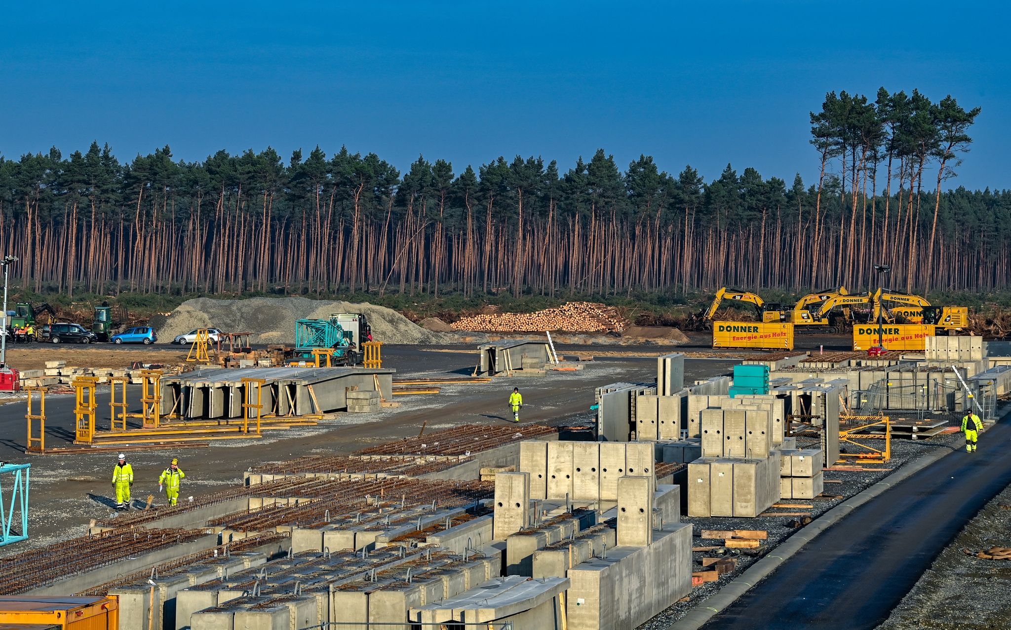 Tesla darf auf Teil der Baustelle nicht weiter Wald roden