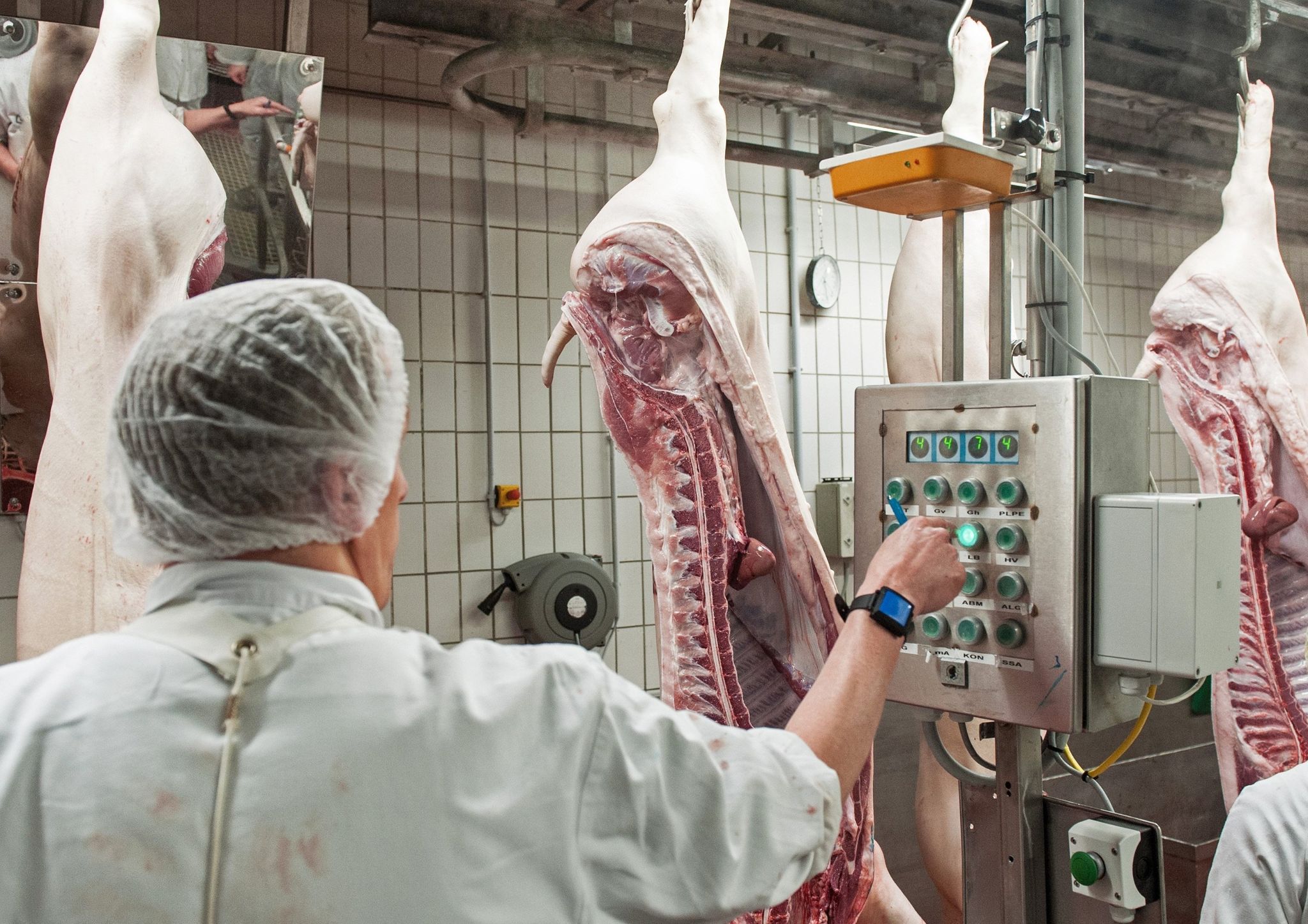 Strengere Regeln für die Fleischindustrie