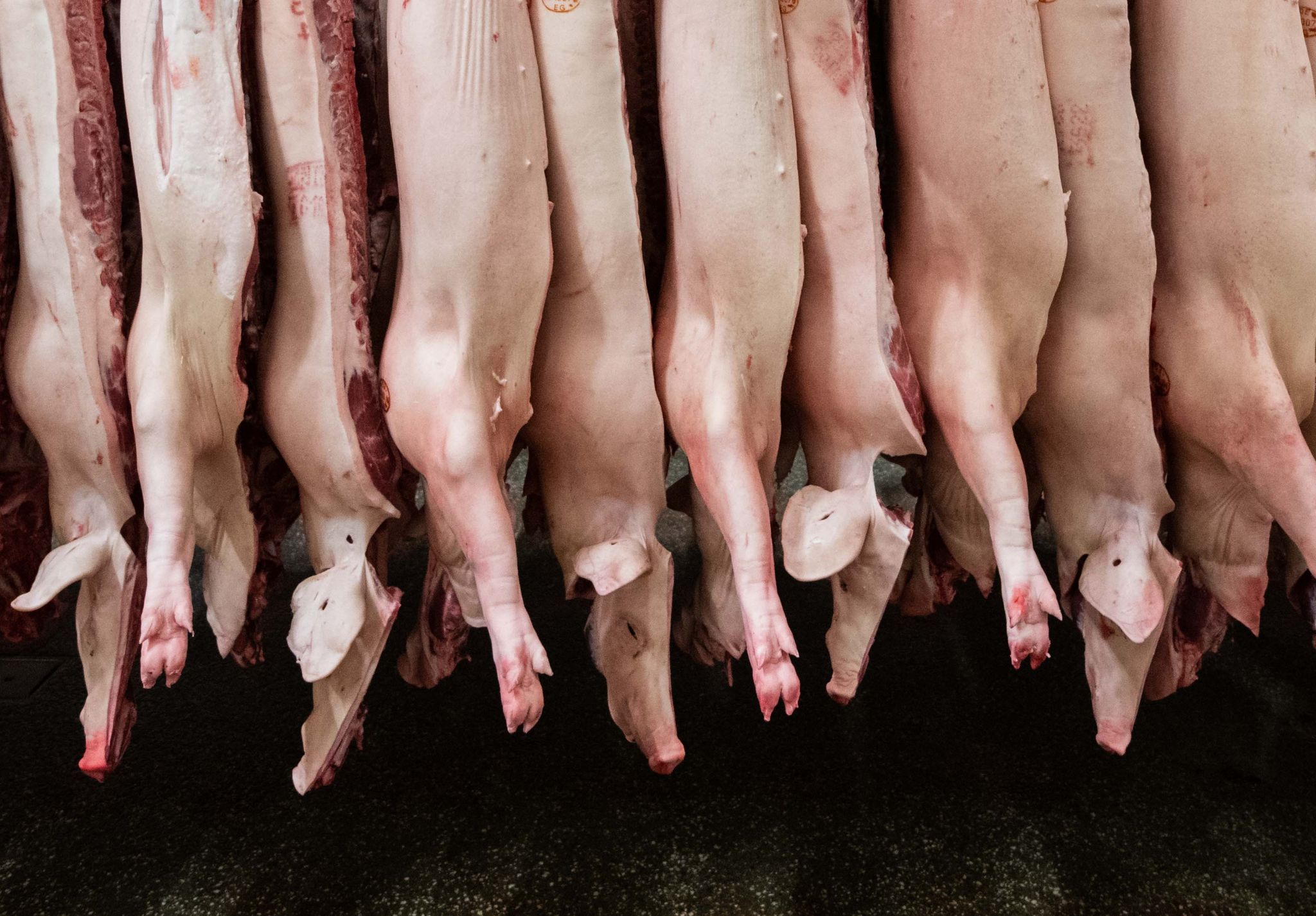 Fleischbetriebe stocken Stammbelegschaft auf