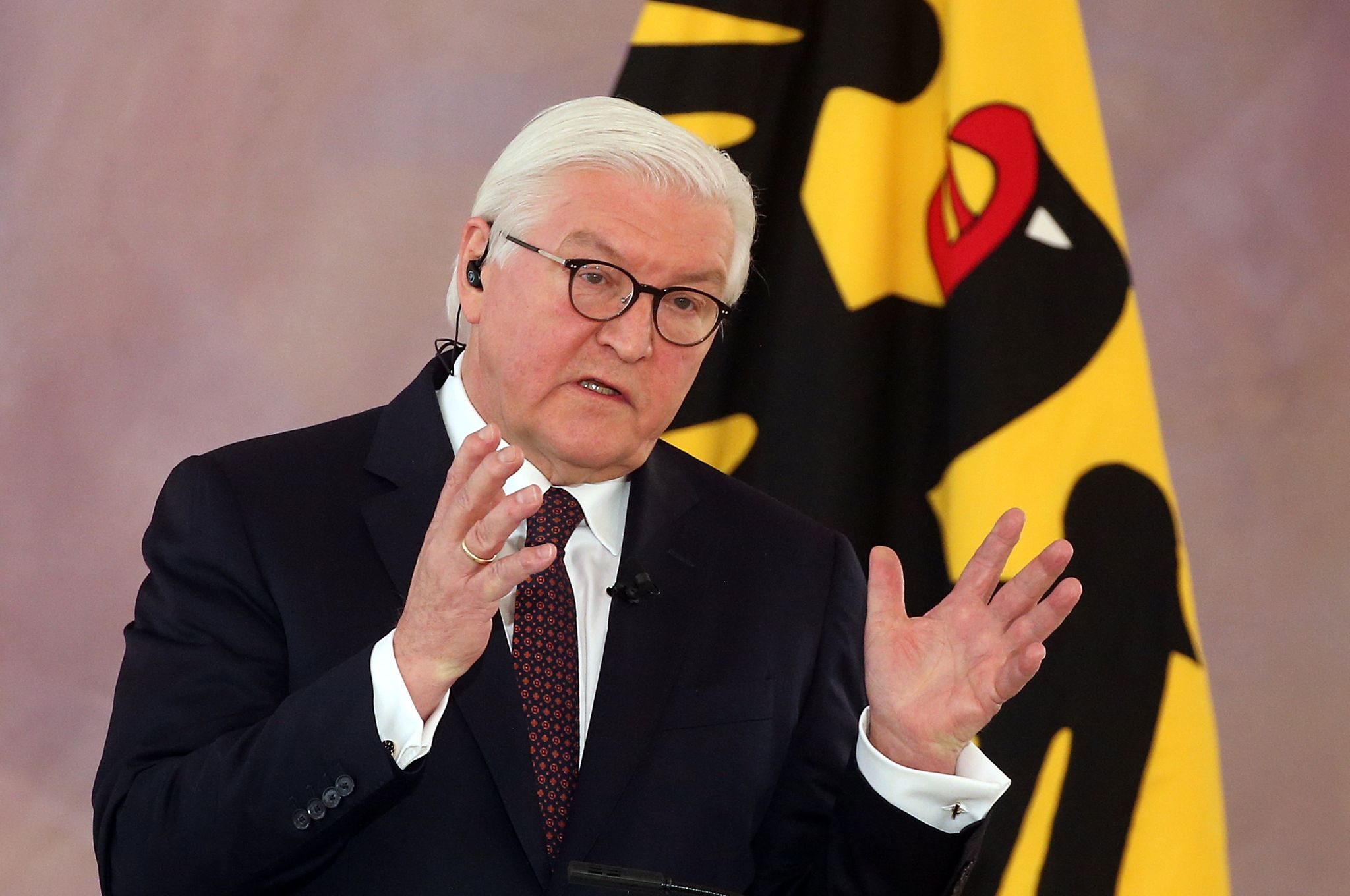 Steinmeier: Pandemie nicht die «Pausentaste» für Klimawandel