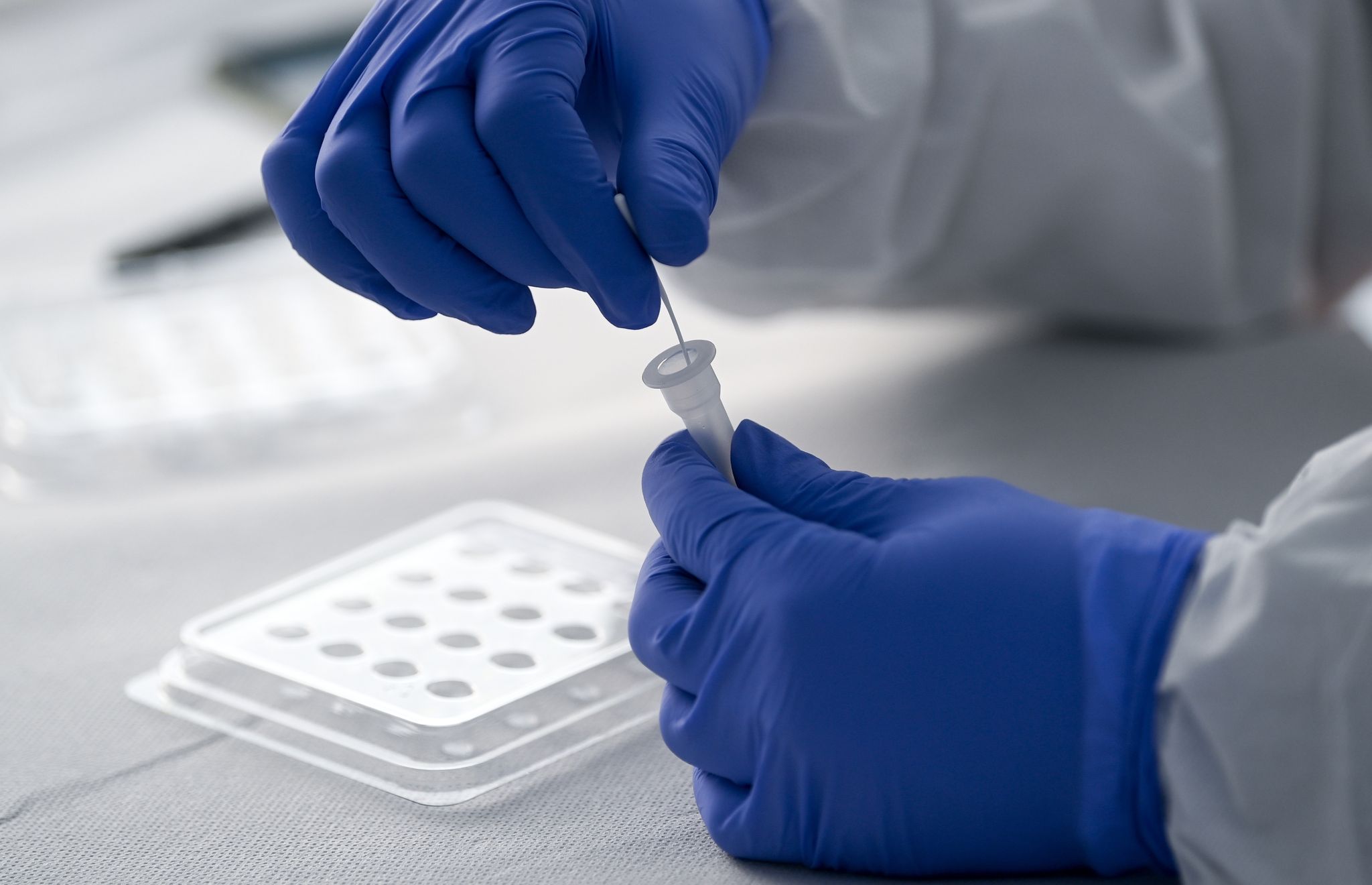 Unternehmen und Verbände befürworten Schnelltests