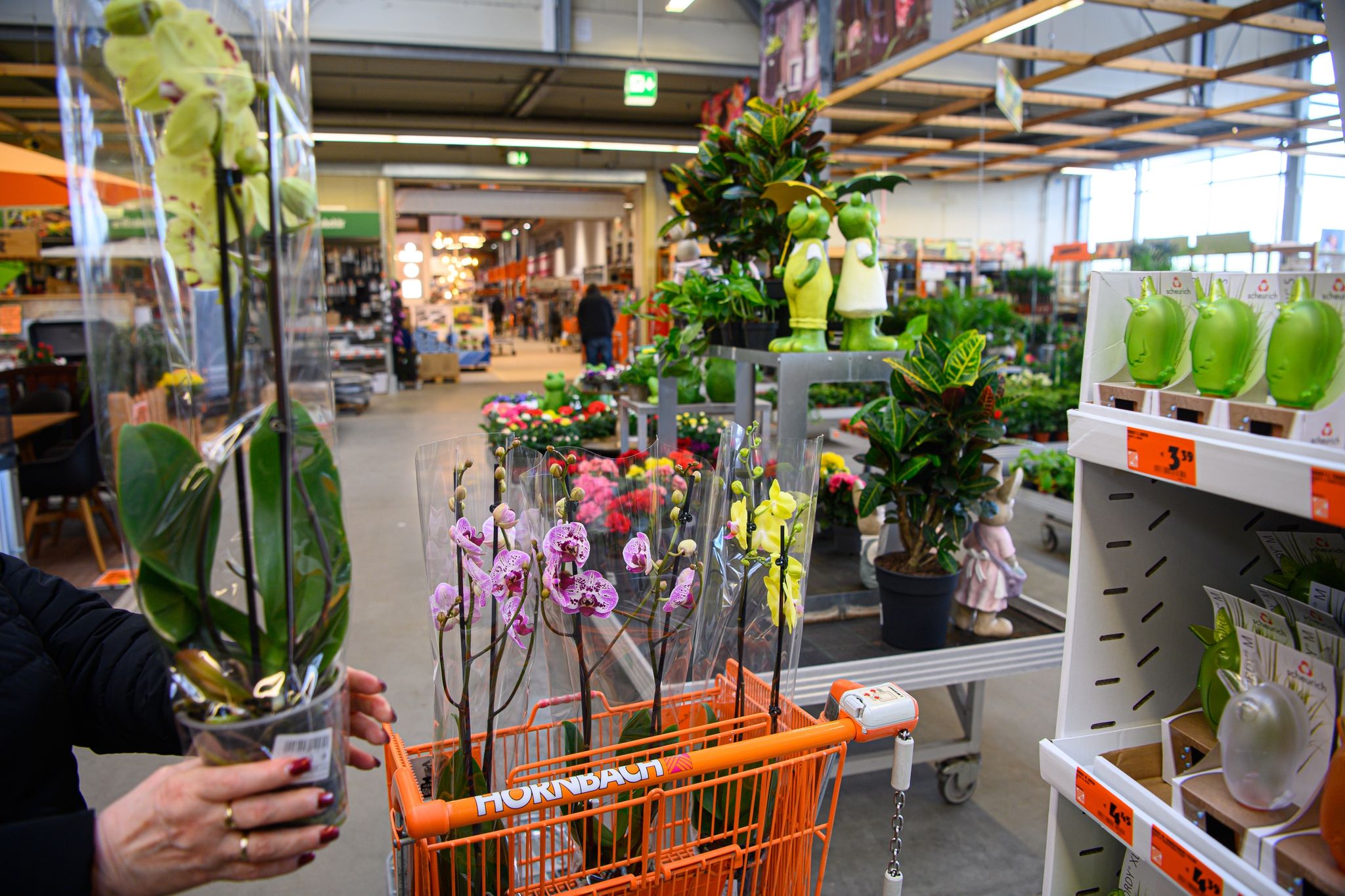 Rekordumsatz für Gartenbranche – Baumärkte Gewinner