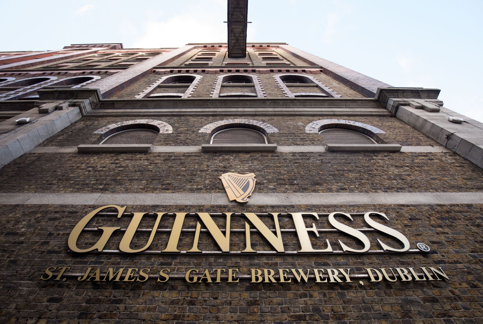 Dosen-Guinness ausverkauft: Lieferengpässe wegen Corona