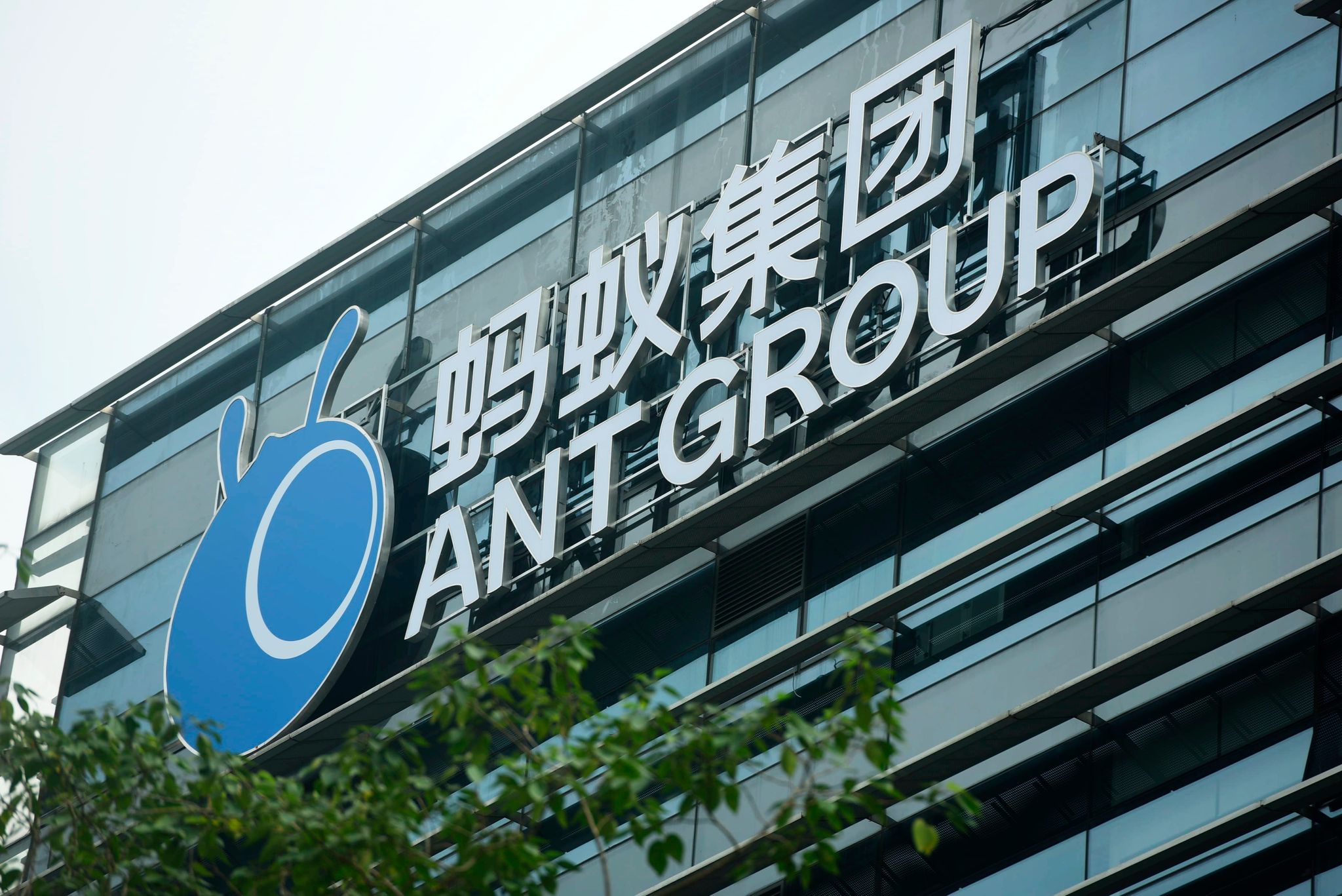 Neuer Schlag gegen Alibaba: Finanzsparte Ant Group im Visier