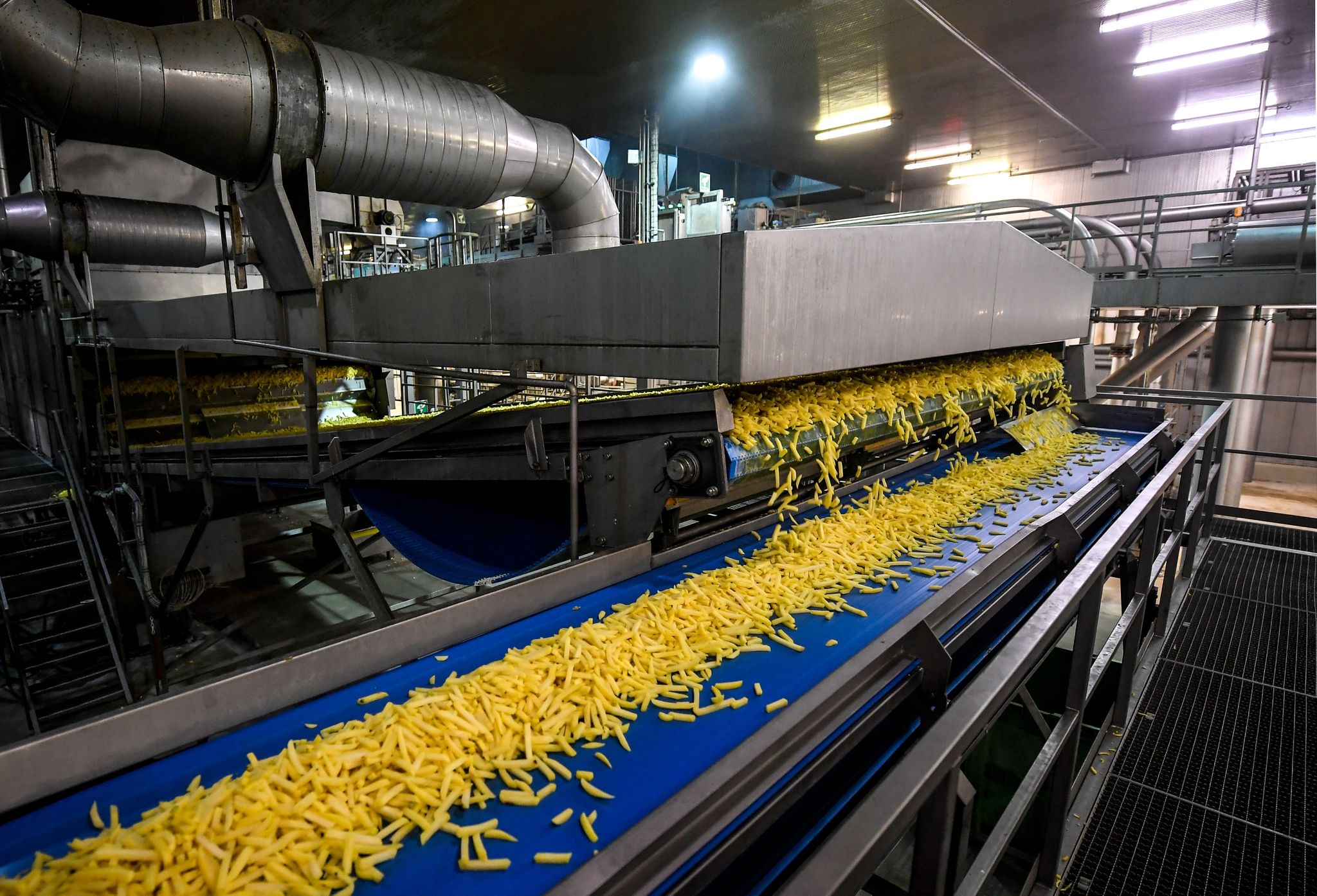 Frittenland Belgien: Kartoffelindustrie in der Krise