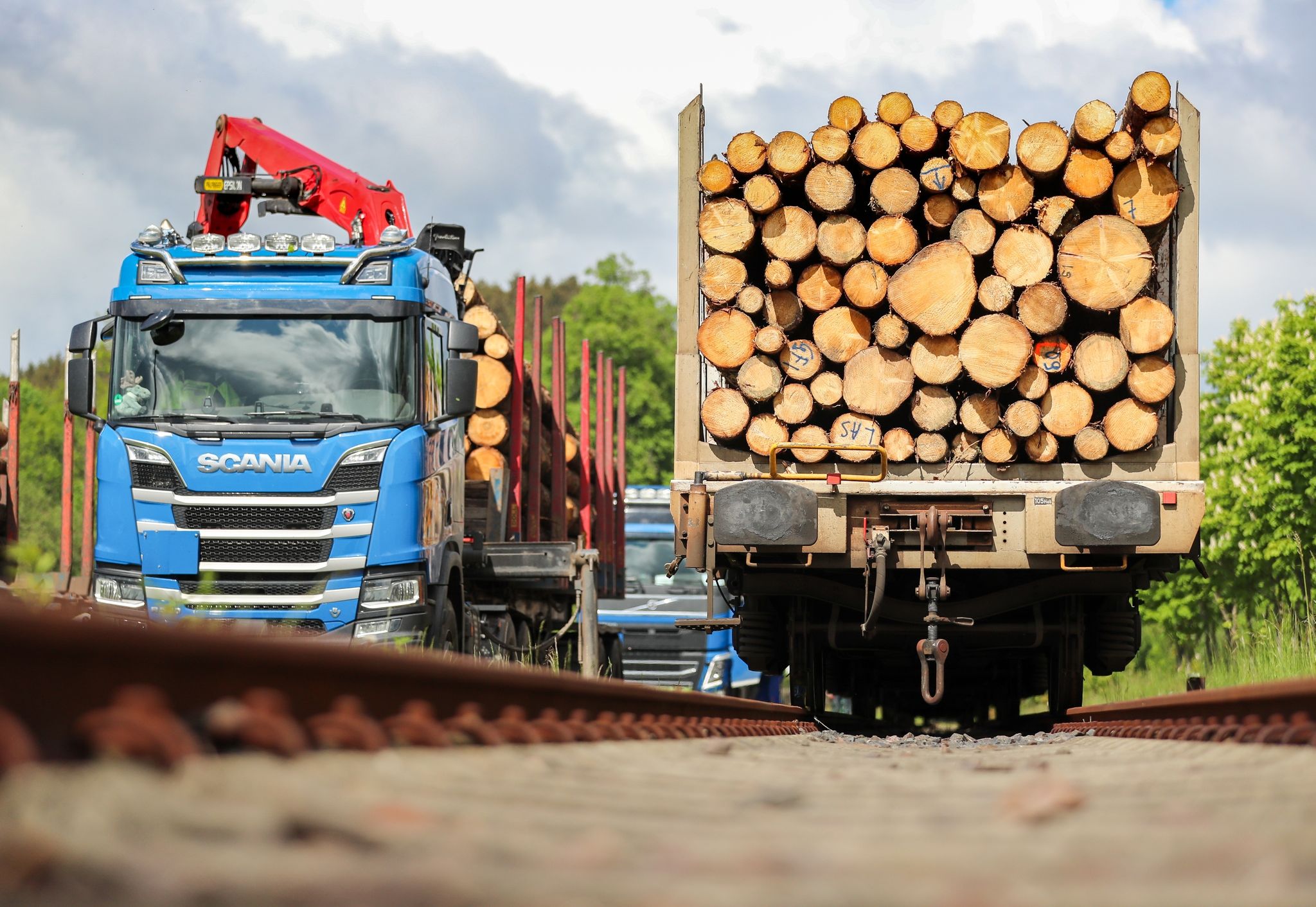 Holz wird knapp: Streit über Umgang mit Rohstoff-Engpässen