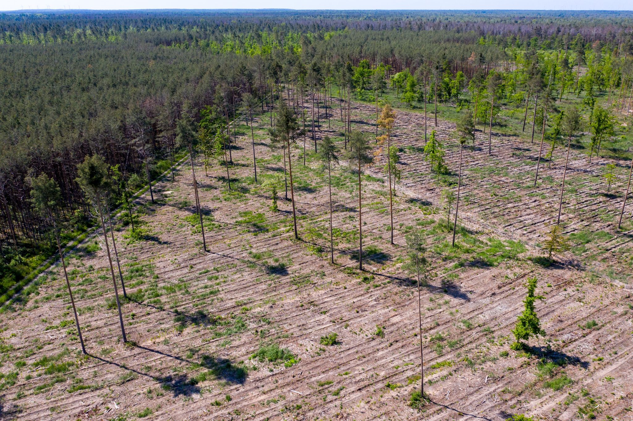 Globale Investoren fordern energischen Klimaschutz