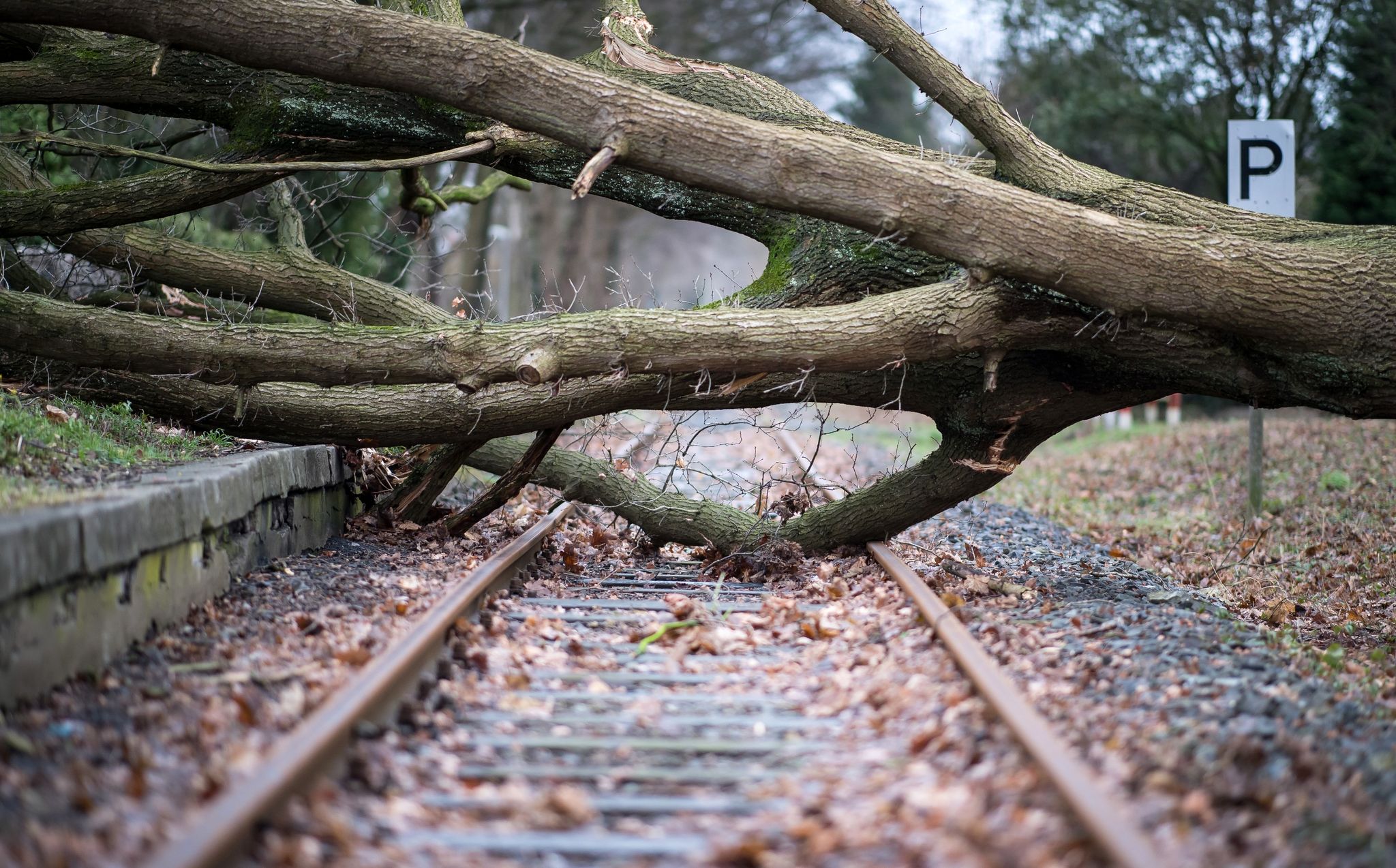 Bahn stellt sich auf mehr Extremwetter ein