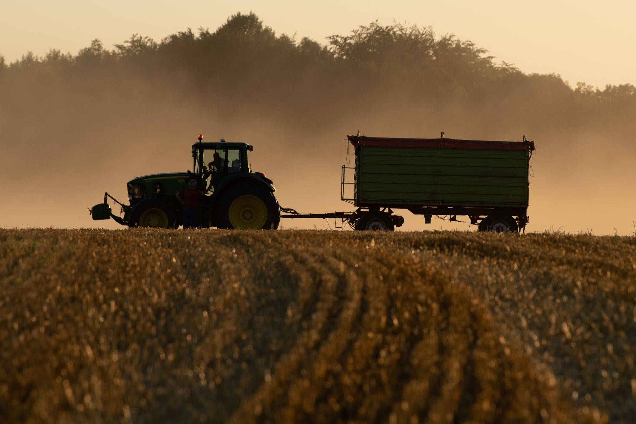 Rechnungshof moniert Treibhausgasausstoß der Landwirtschaft