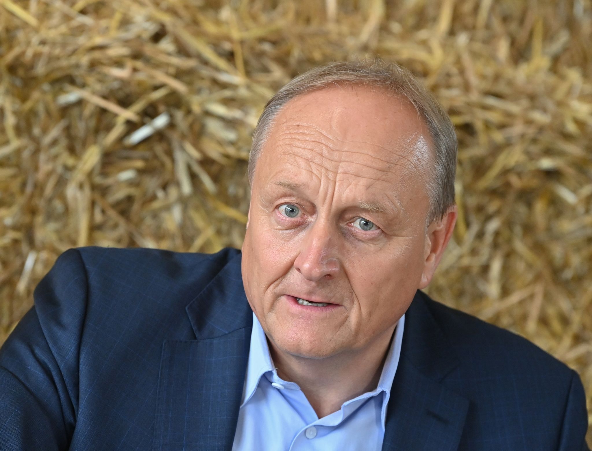 Bauern erwarten Ernte unterm Schnitt – Regen macht Hoffnung