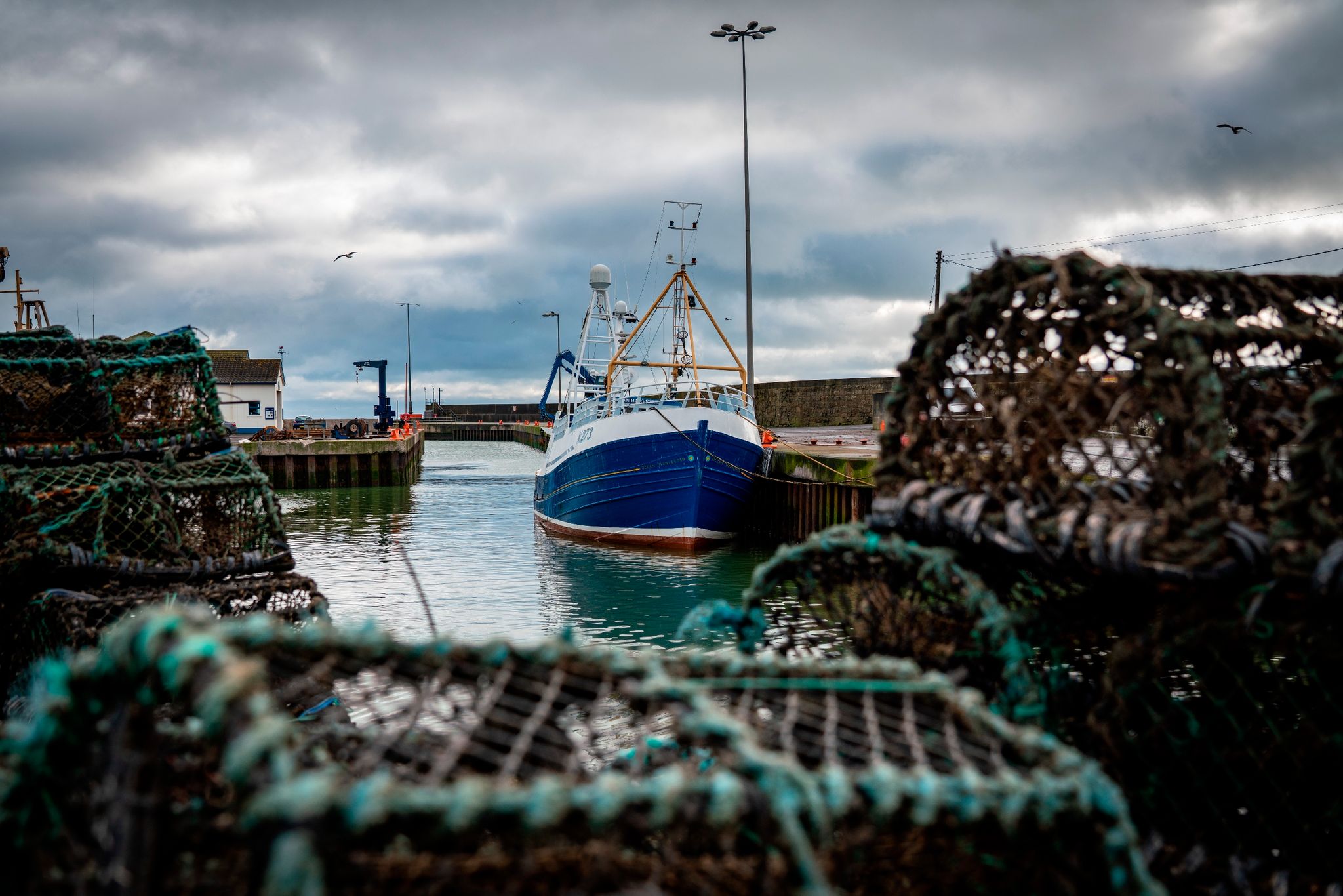 Briten und Norweger streiten nach Brexit um Fisch