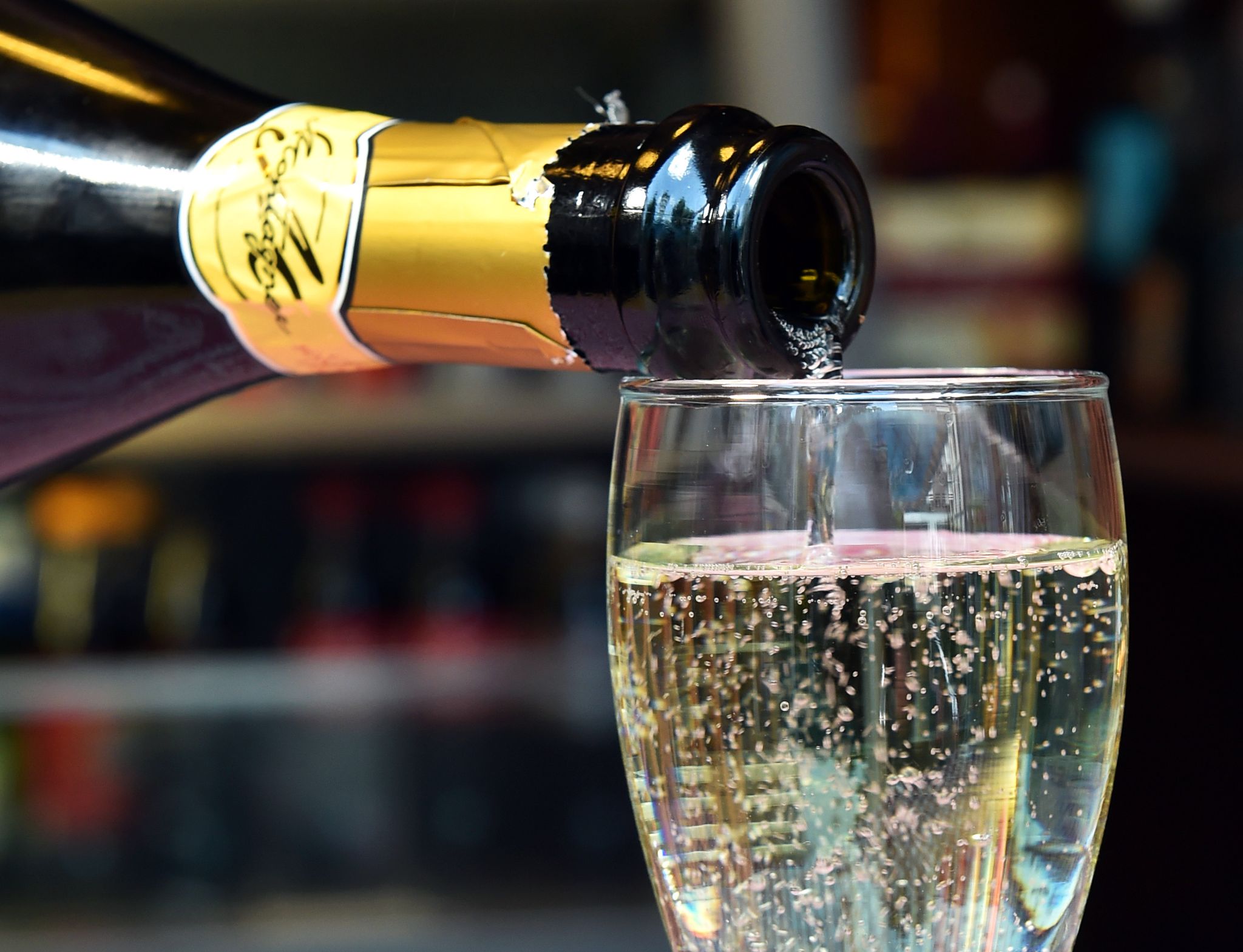 Verband: Italiens Prosecco-Export auf Rekordniveau