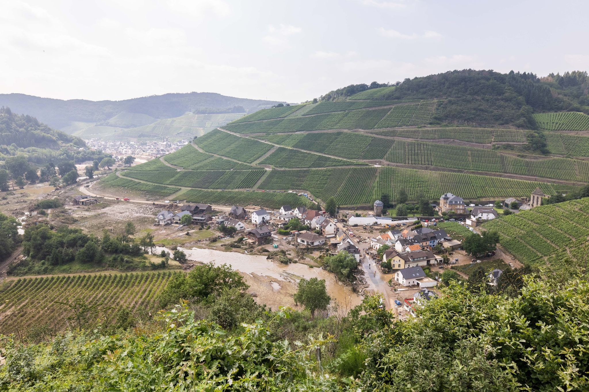 «Kein einziges Fass mehr da» – Weinbau an der Ahr am Boden