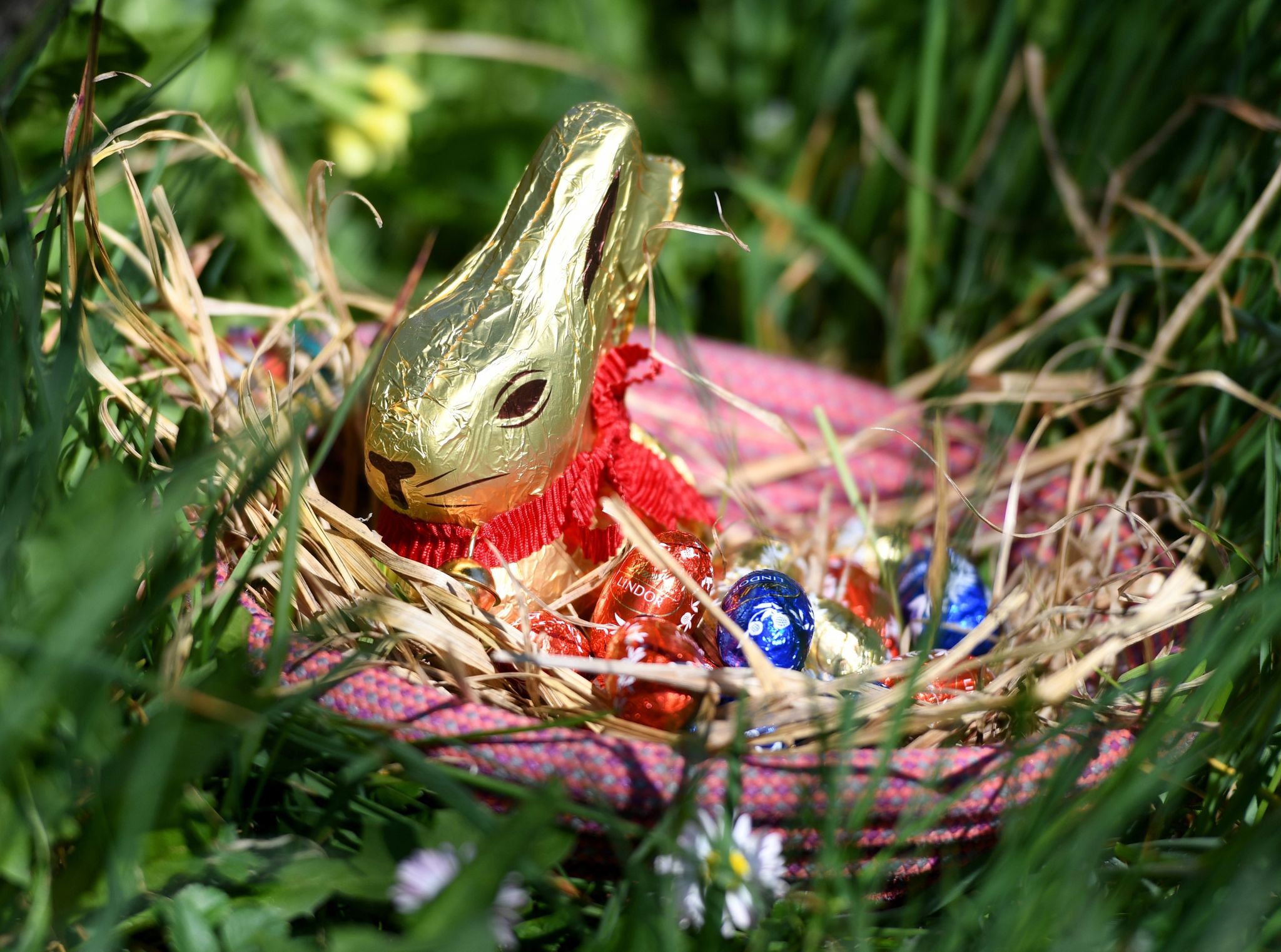 BGH: Farbton des Lindt-«Goldhasen» genießt Markenschutz