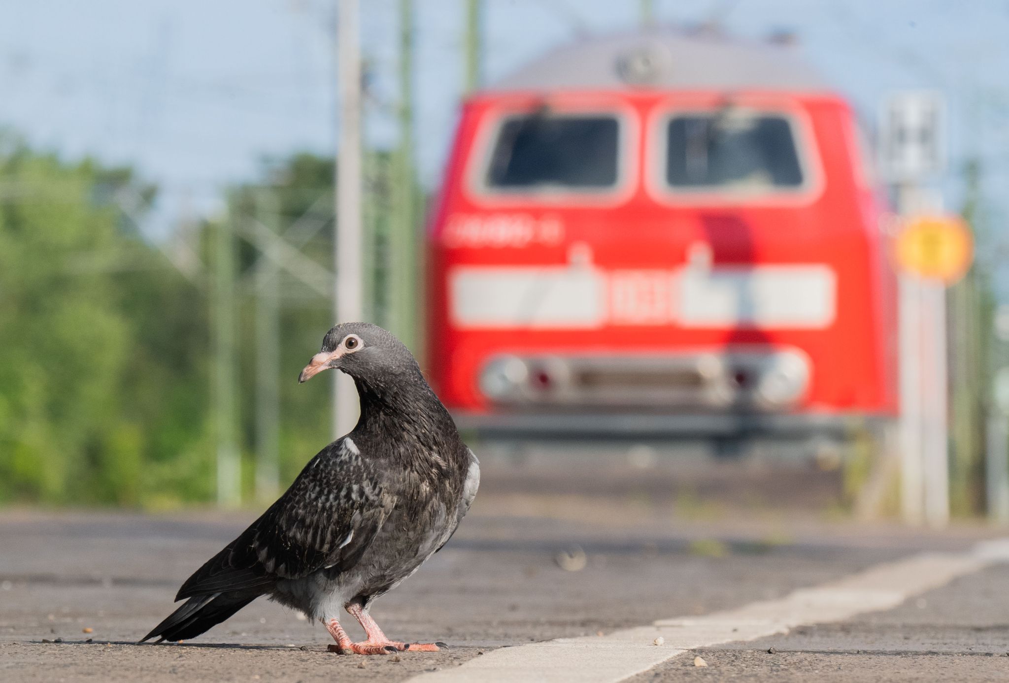 Bahnstreik beendet – Zweiter Arbeitskampf in Sicht
