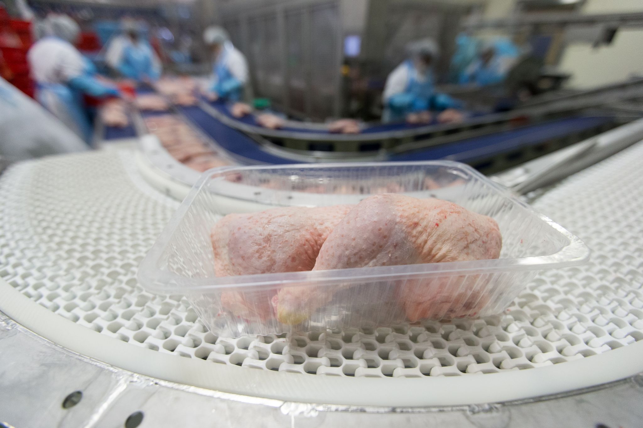 Fleischproduktion im ersten Halbjahr gesunken