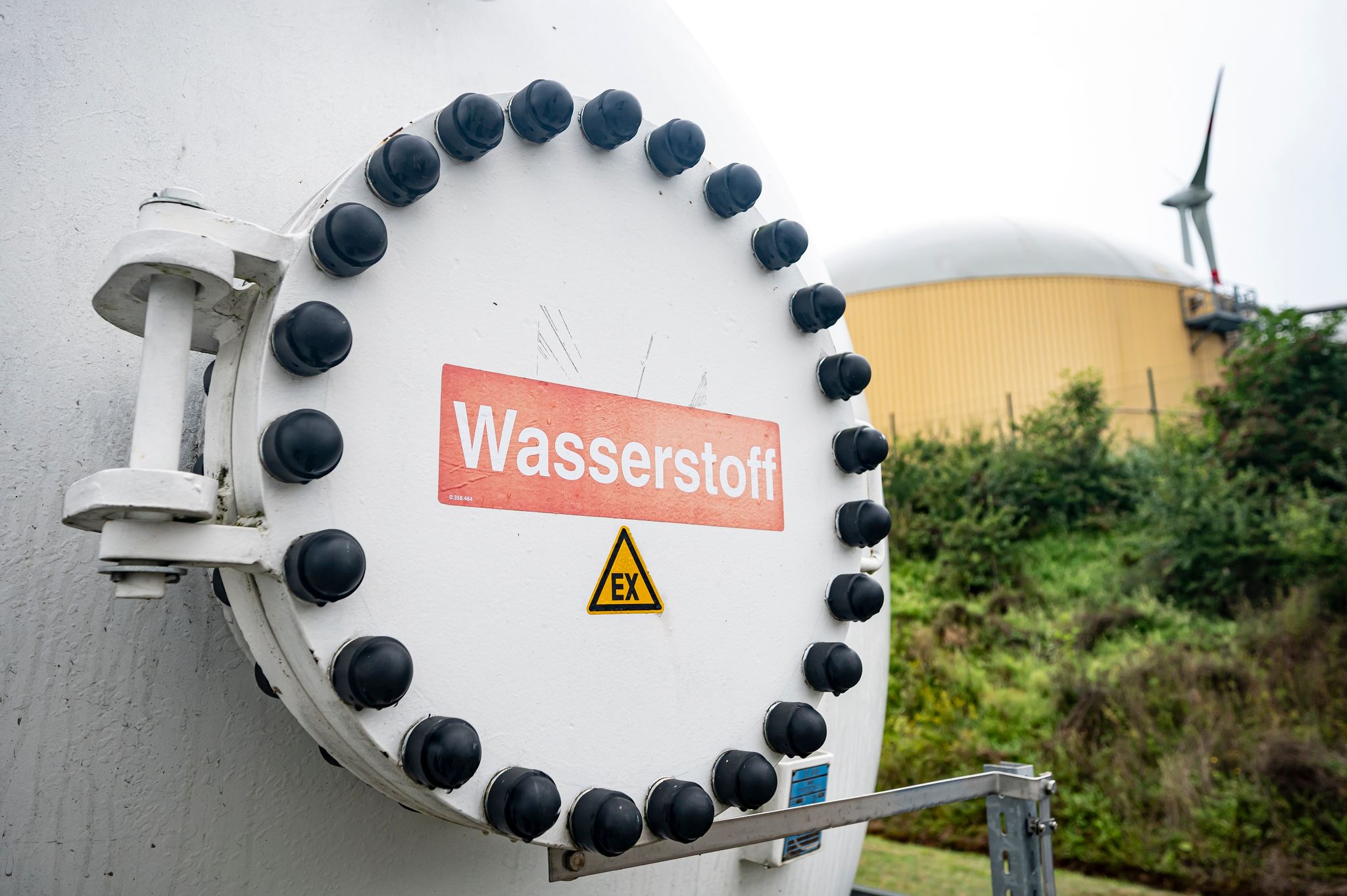 Studie: Für Klimaneutralität immense Investitionen nötig