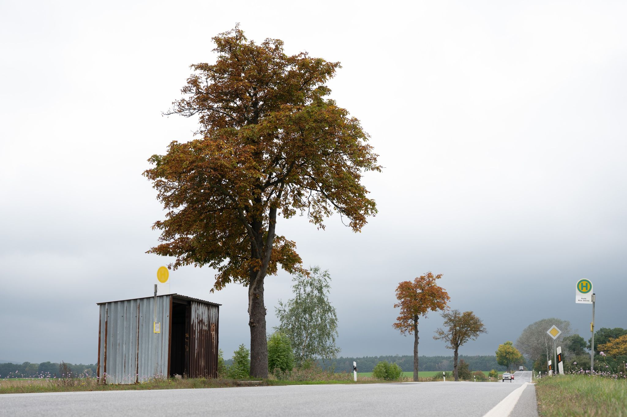 Unzufriedenheit auf dem Land mit Nahverkehrs-Takten