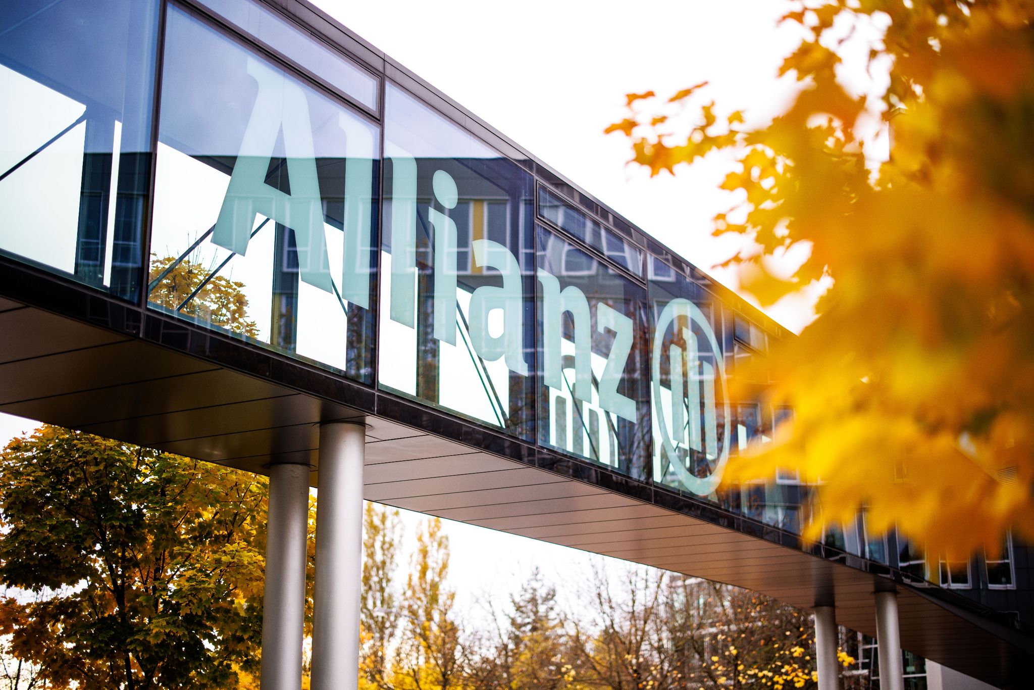 Rekordsommer stimmt Allianz zuversichtlich