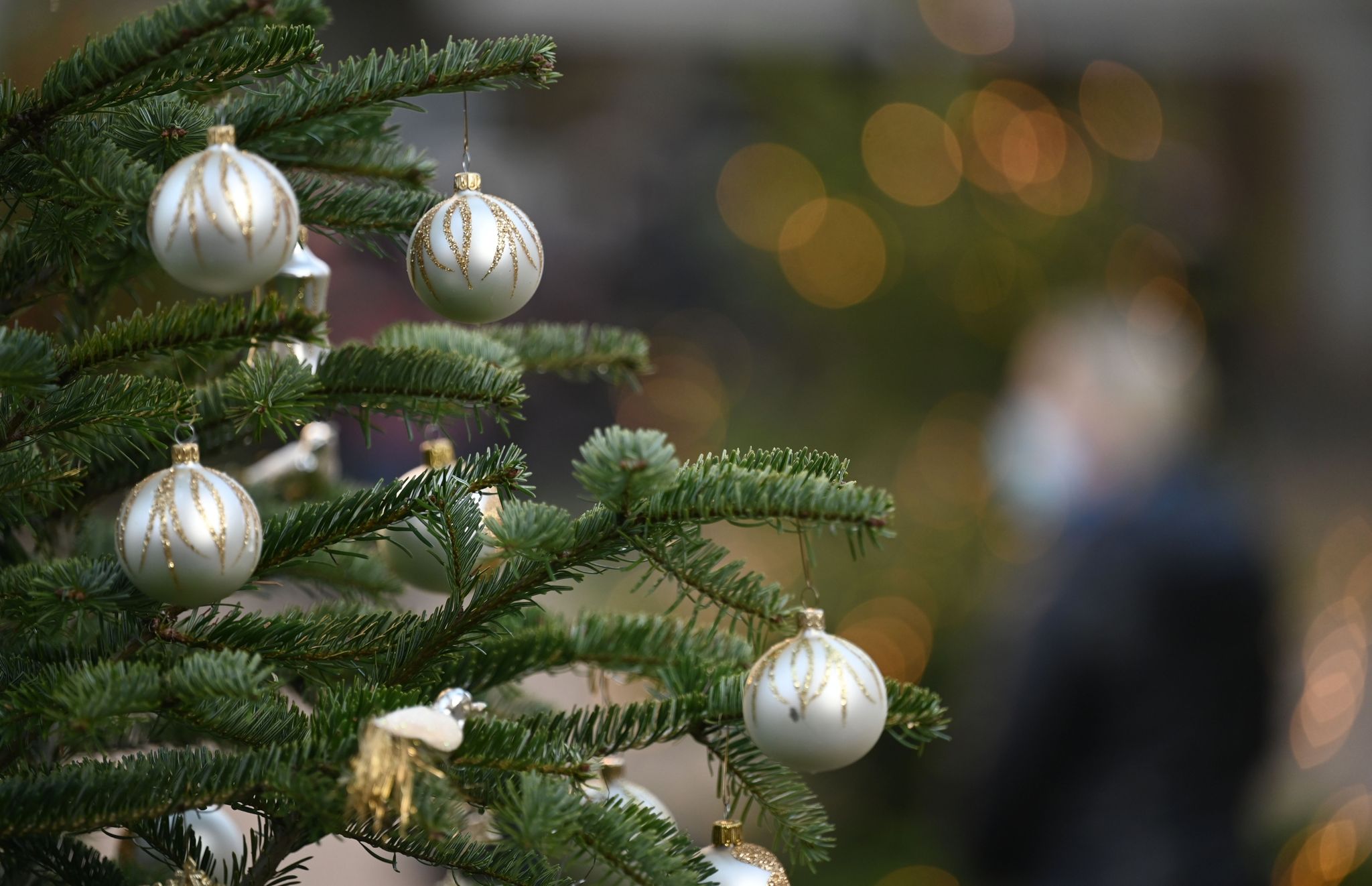 Weihnachtsbaumverkauf startet – ausreichend Bäume vorhanden