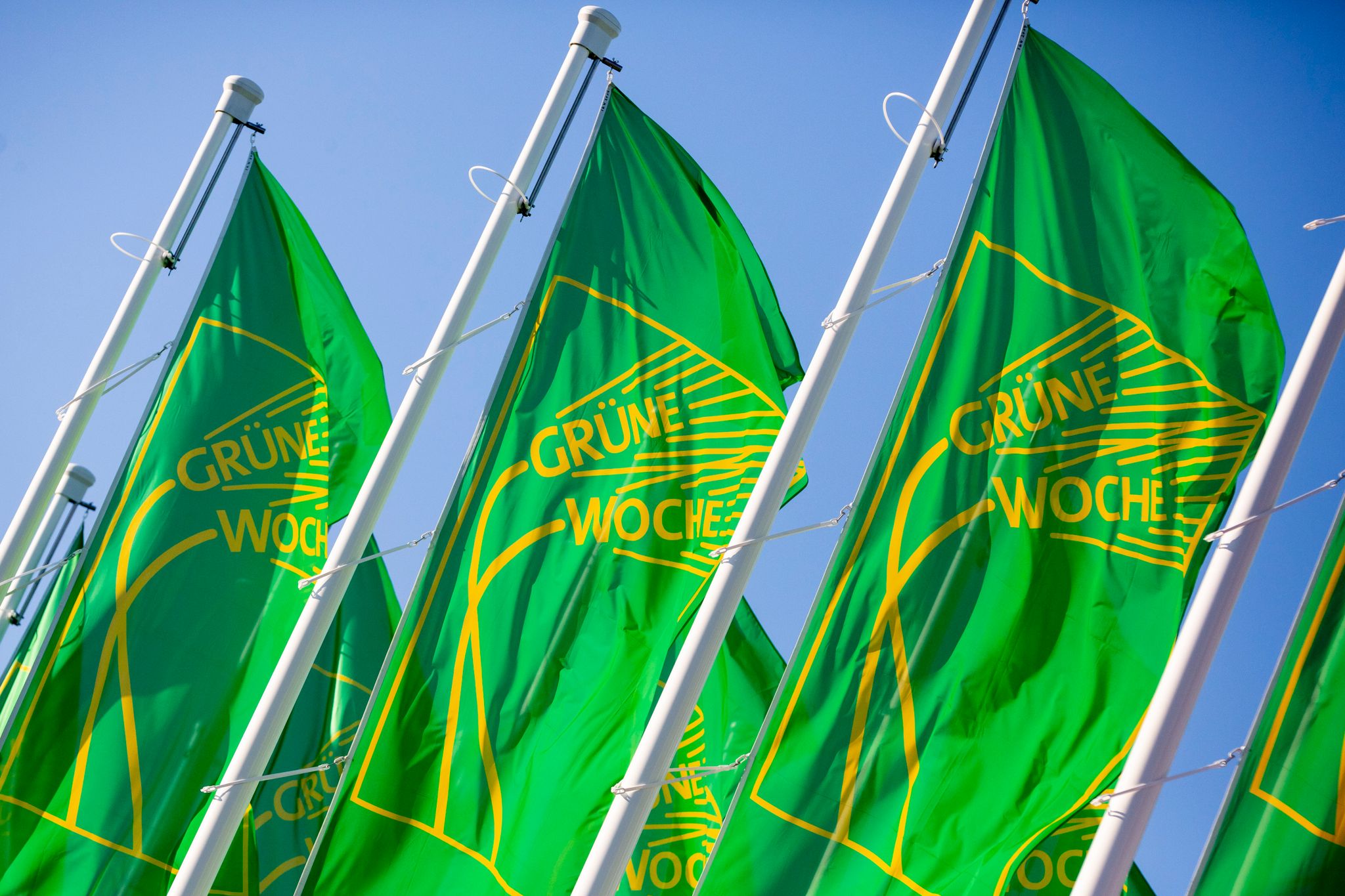 Grüne Woche 2022 wegen Corona abgesagt
