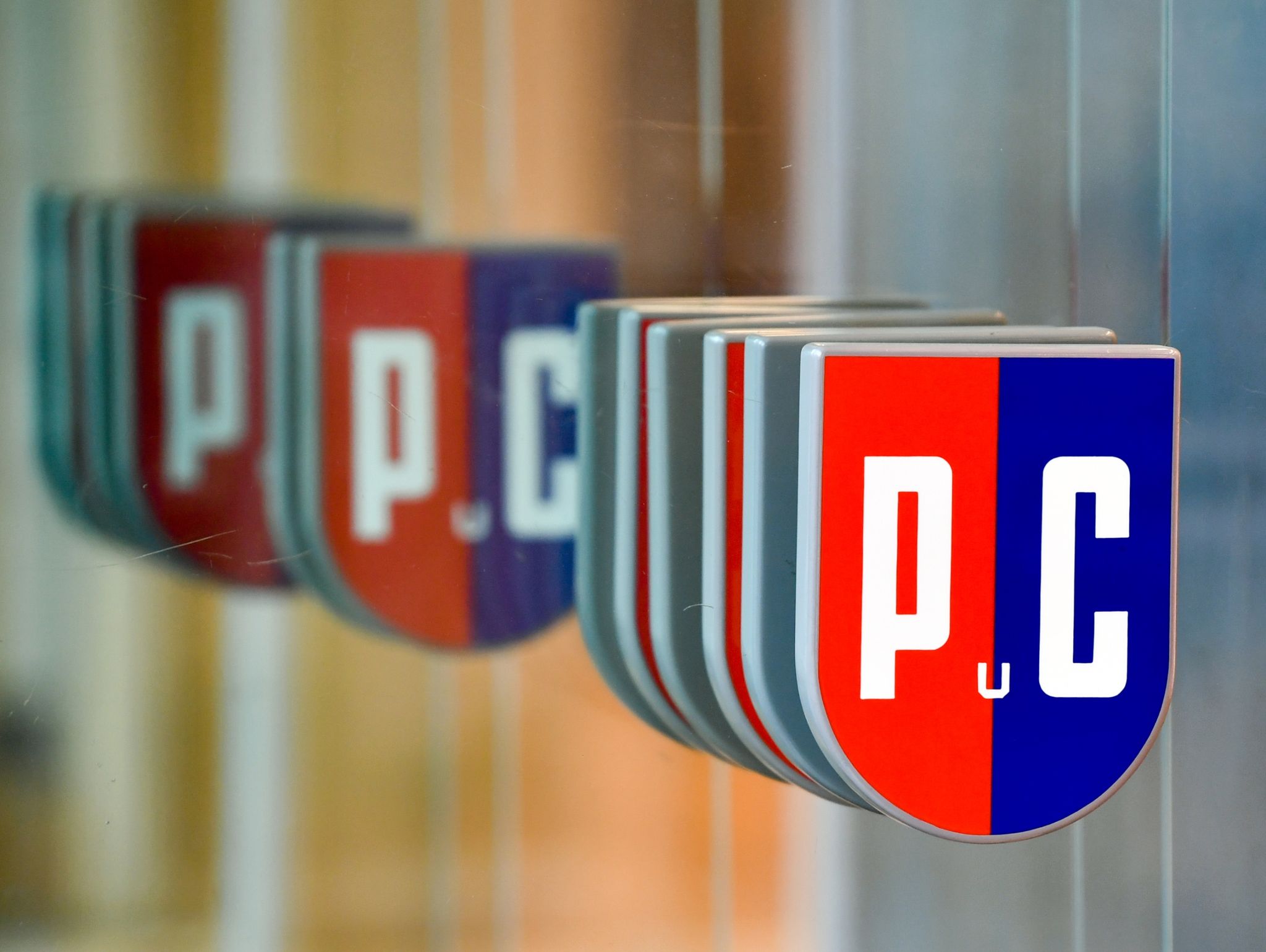 P&C plant 2022 mehrere Neueröffnungen