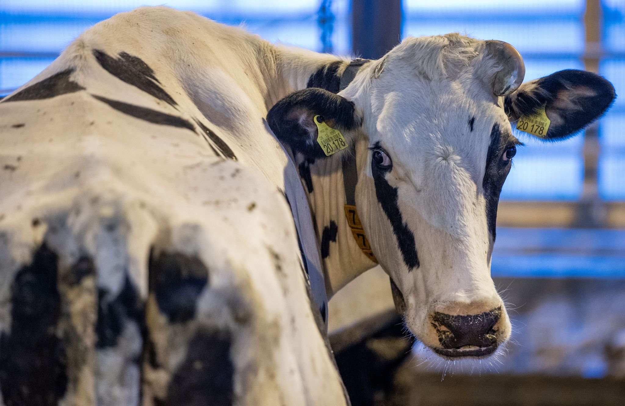 Agrar-Klimaziele belasten vor allem kleine Bauernhöfe
