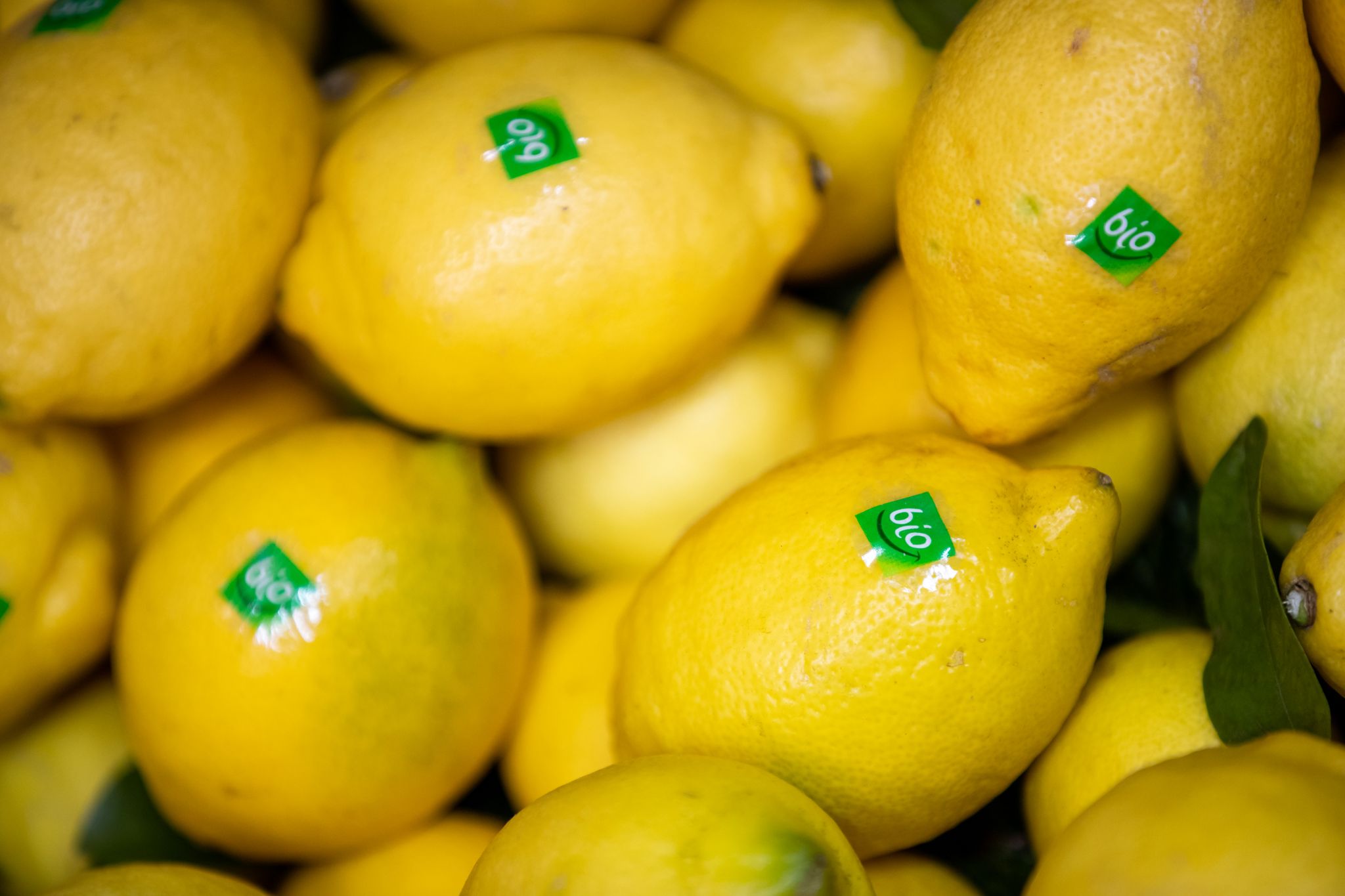 Biofachhandel wächst etwas langsamer