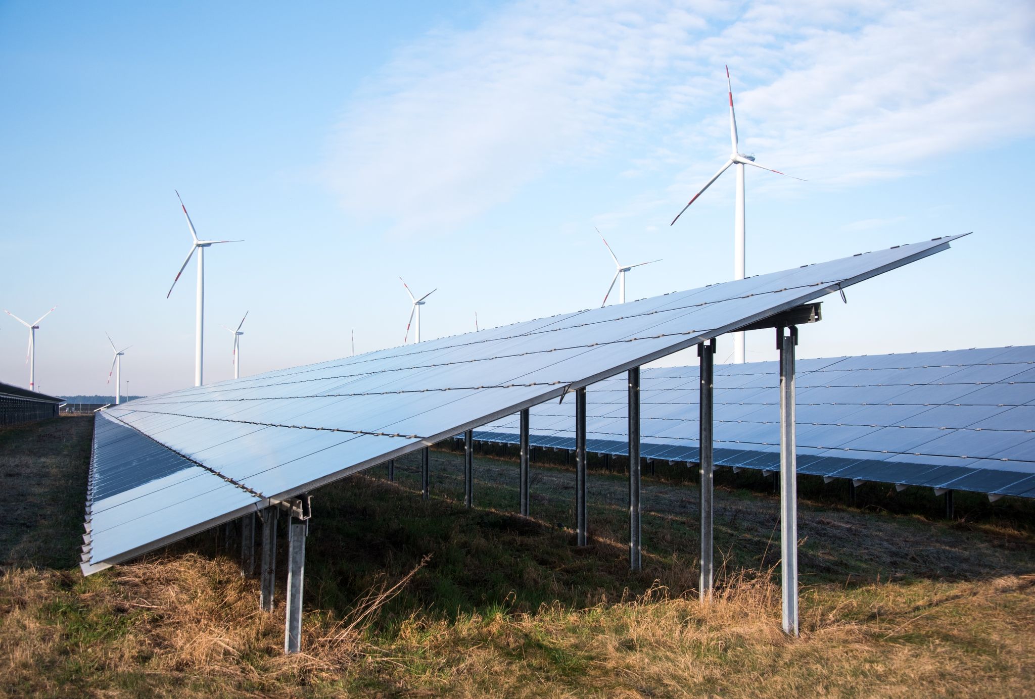 EU-Grüne fordern Fonds für erneuerbare Energien
