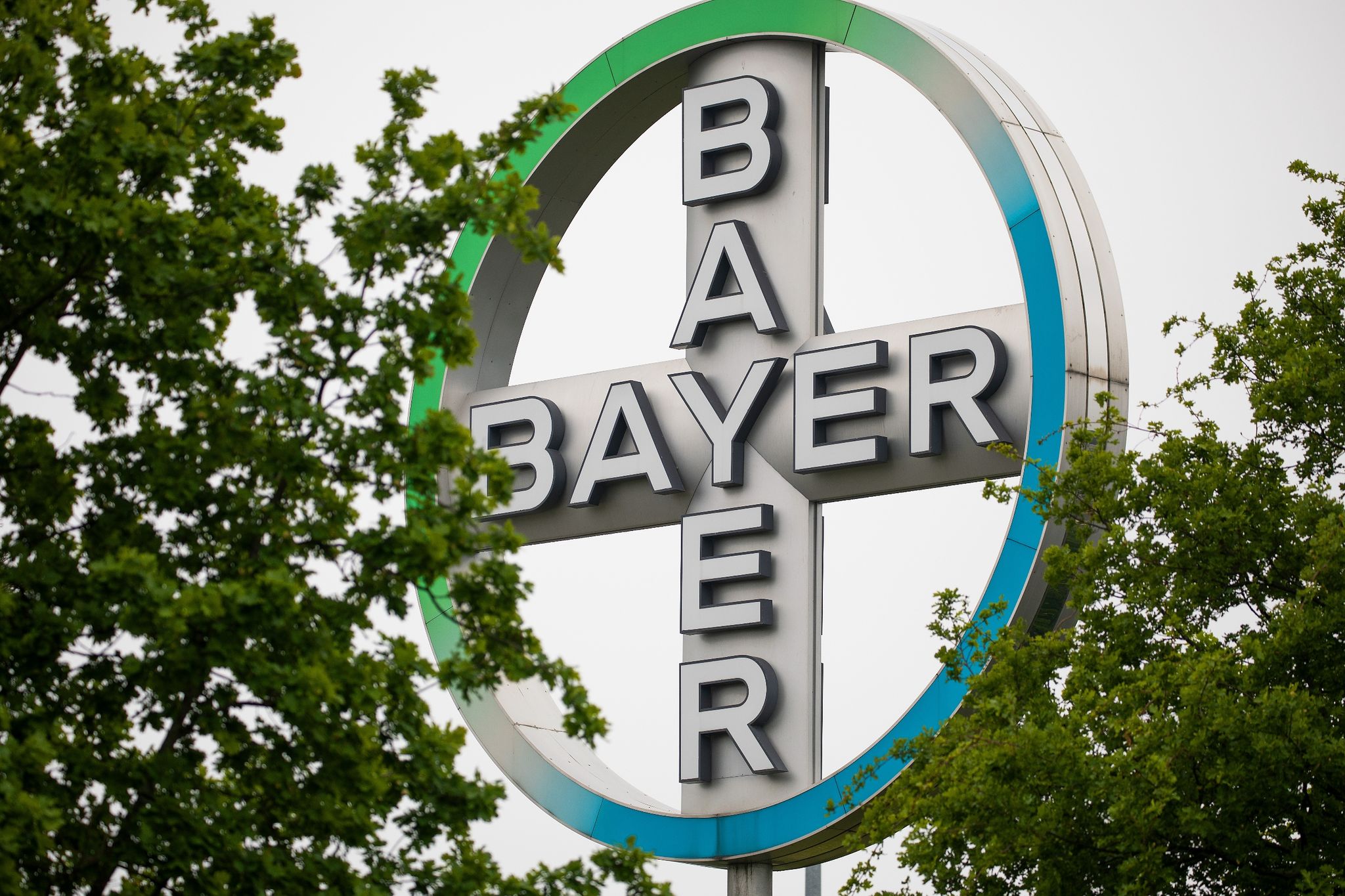 Bayer streicht mit Verkauf eines Firmenteils Milliarden ein