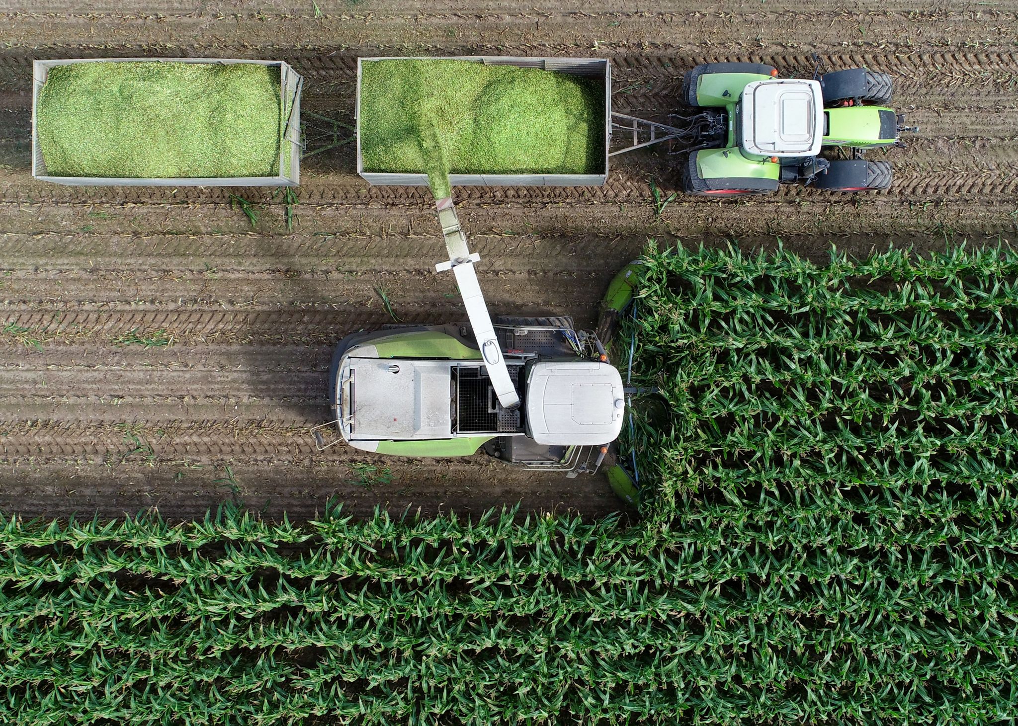 Sorge um Agrarmärkte – Bauern können mehr Flächen nutzen