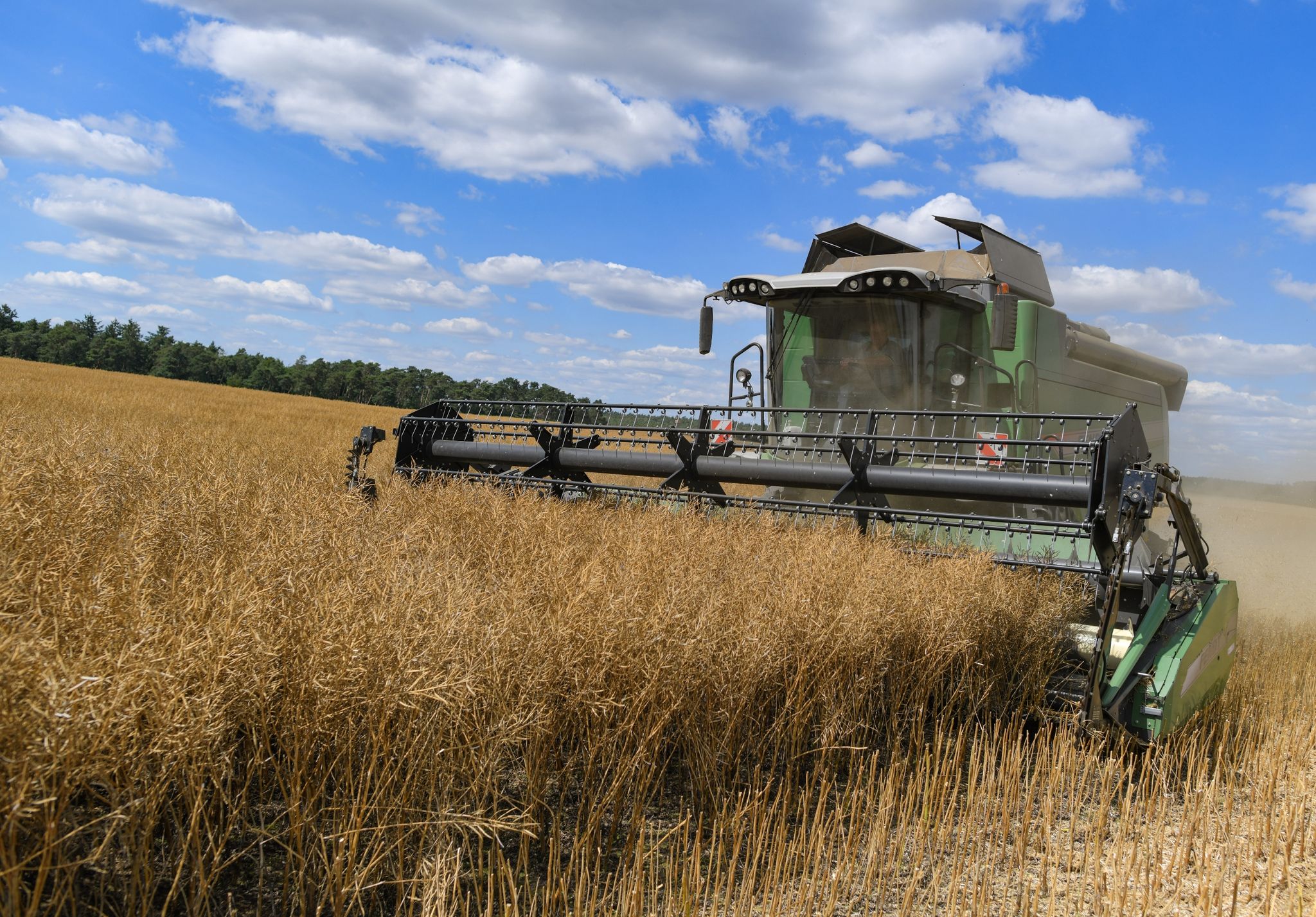 Kriegsfolgen abfedern: EU-Bauern sollen Produktion steigern