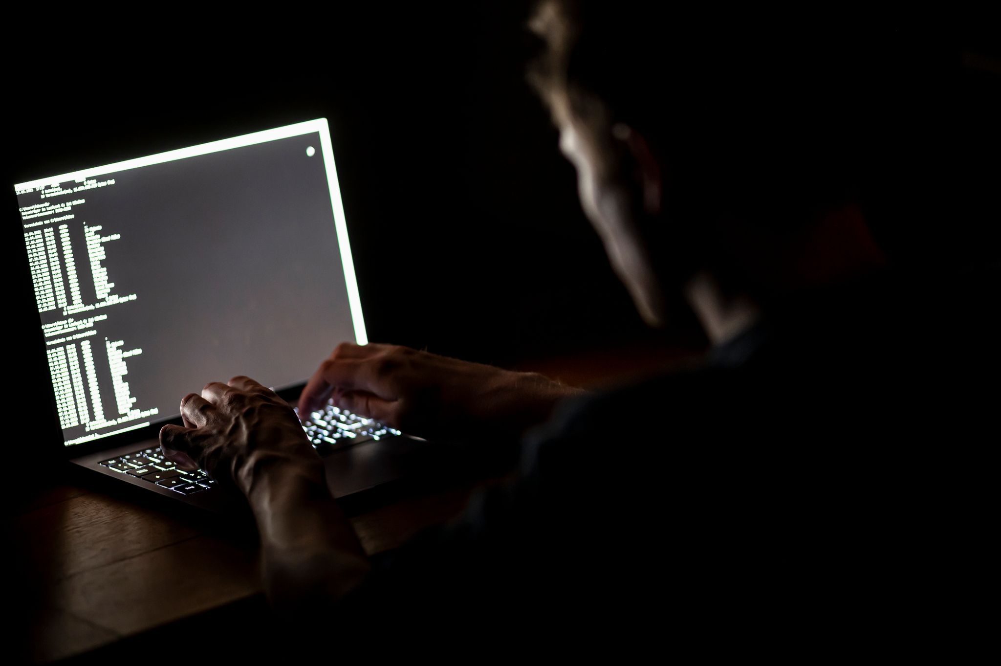 Weltweite Fahndung nach mutmaßlicher Onecoin-Erfinderin