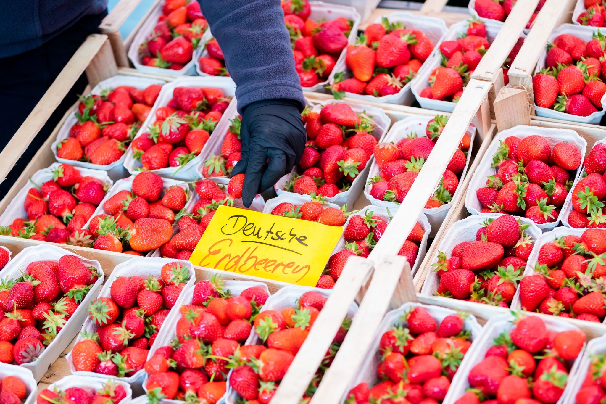 Kunden sparen auch bei Erdbeeren