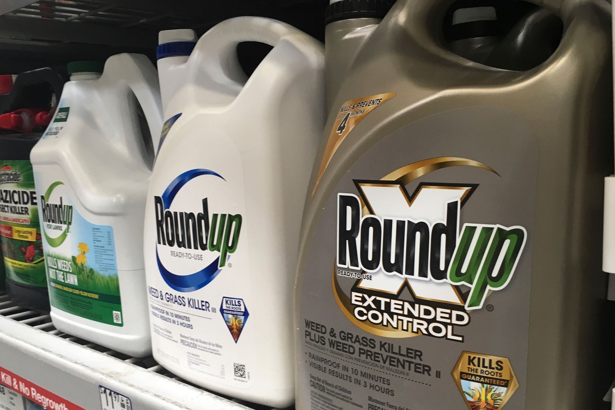 EPA muss Glyphosat erneut überprüfen – Bayer gewinnt Prozess