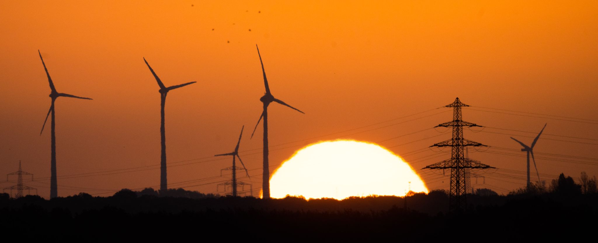 Viel Wind und Sonne: Ökostromanteil steigt auf 49 Prozent