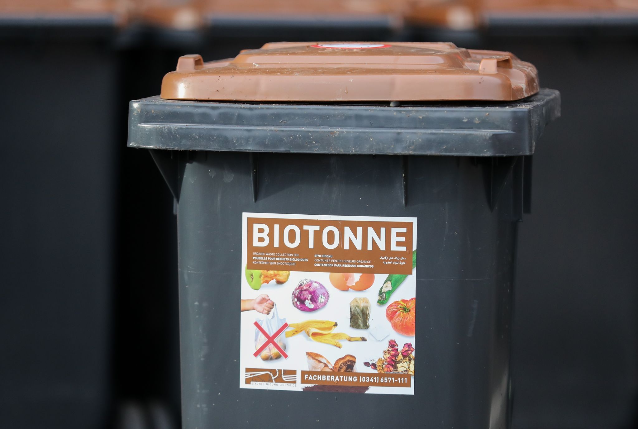 Mehr Biotonnen, mehr Gas? Müllbranche fordert Maßnahmen