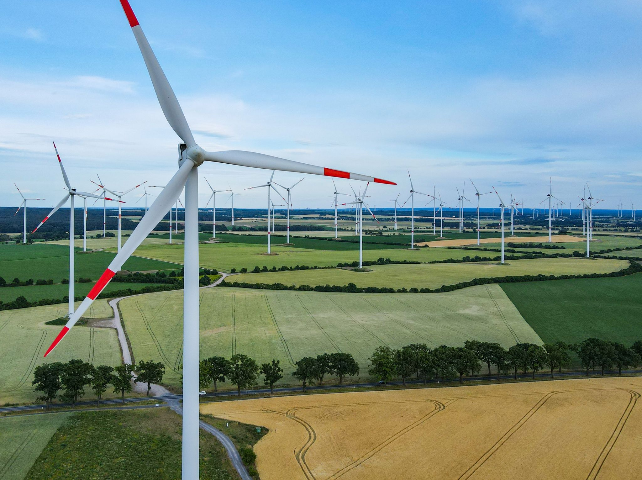 BDI-Chef verlangt schnellere Genehmigungen für Windräder