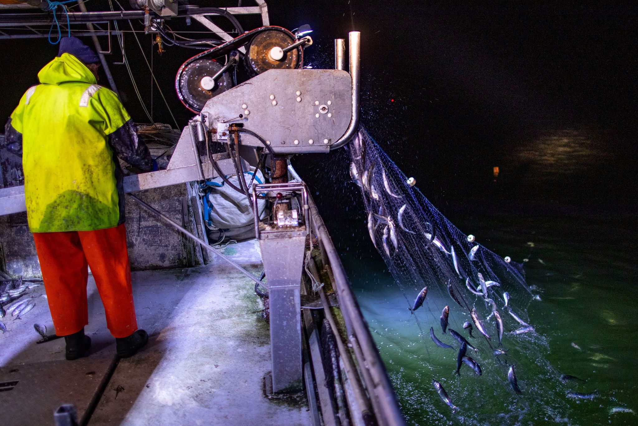 EU-Kommission: Weiterhin Beschränkungen für Ostsee-Fischer
