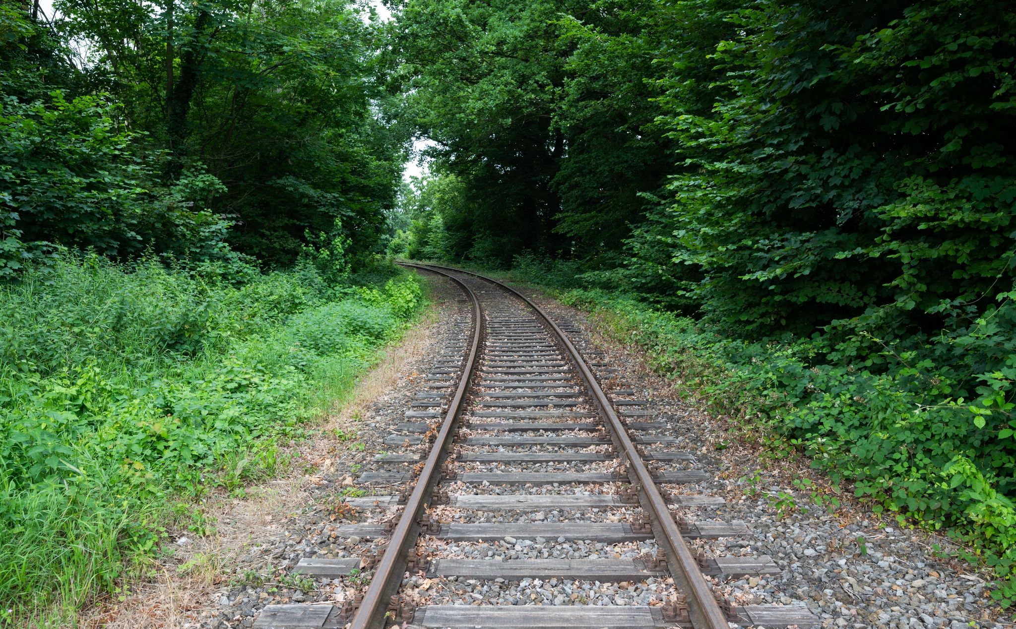 Bahnstrecken reaktivieren – warum dauert es so lange?