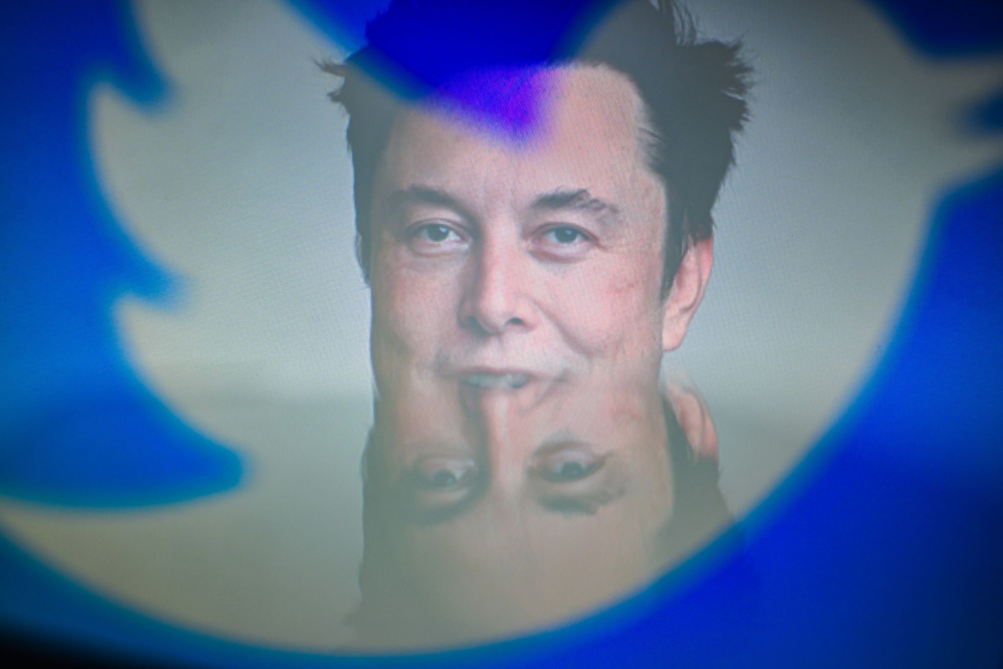 Musk plant bei Twitter Gremium für Inhalte-Entscheidungen