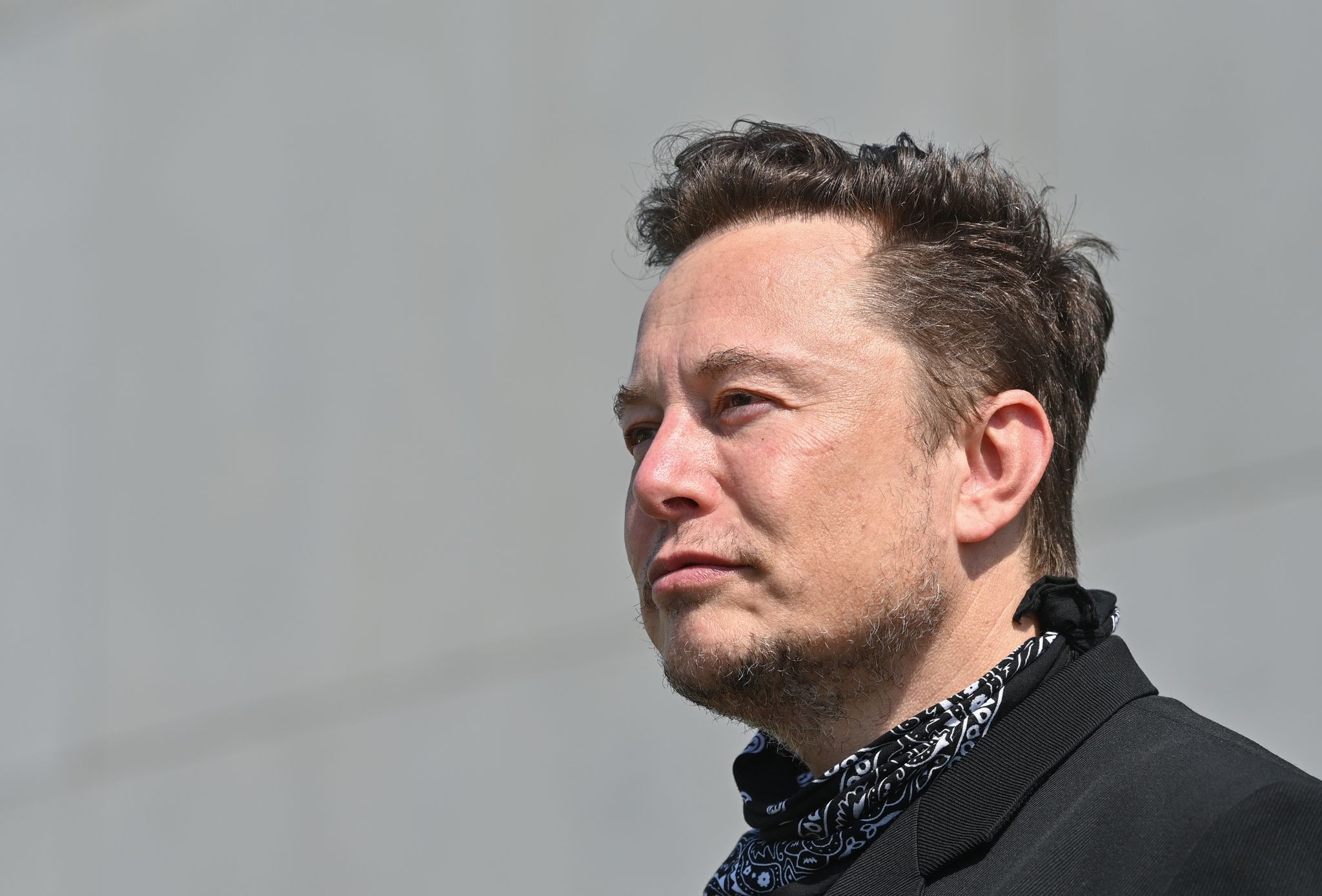 Musk denkt offenbar über kostenpflichtiges Twitter nach