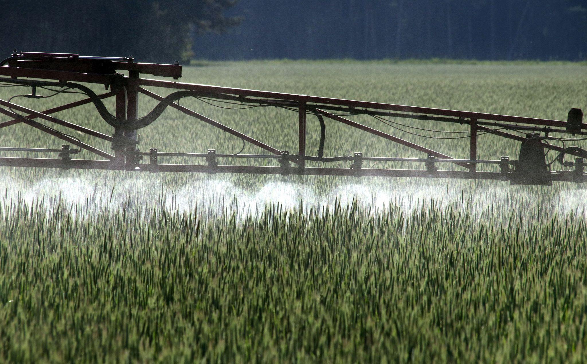 Foodwatch: Pestizid-Zulassungen ohne Risikoprüfung erneuert