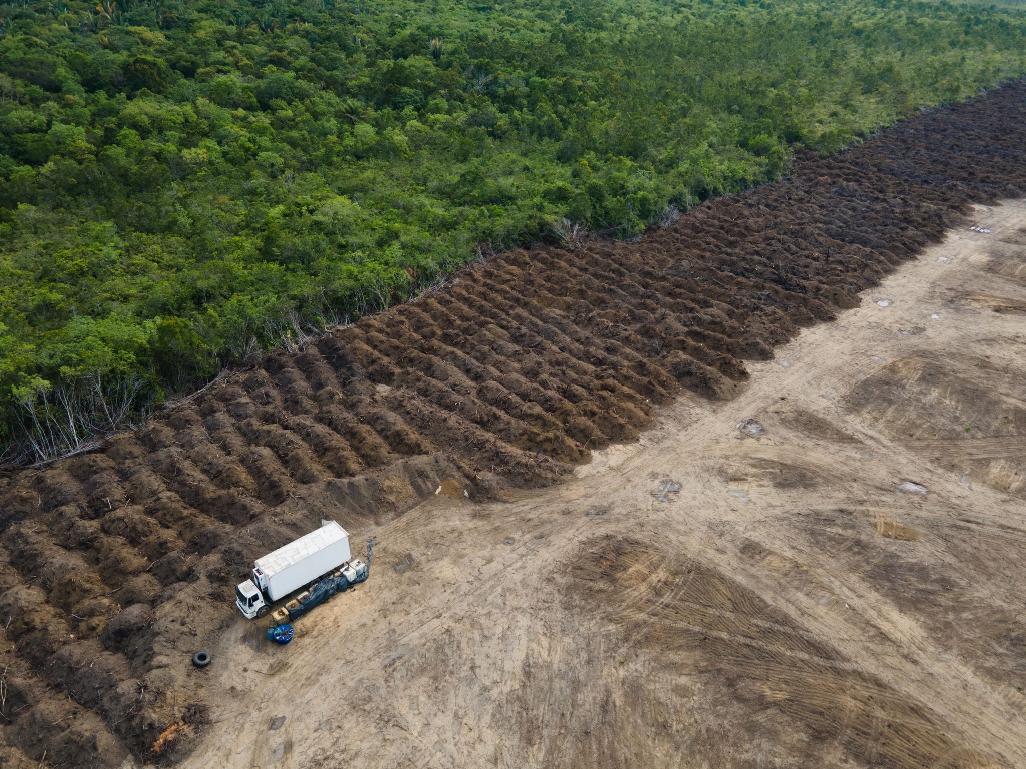 Regenwaldschutz – EU verbietet Warenimport bei Abholzung
